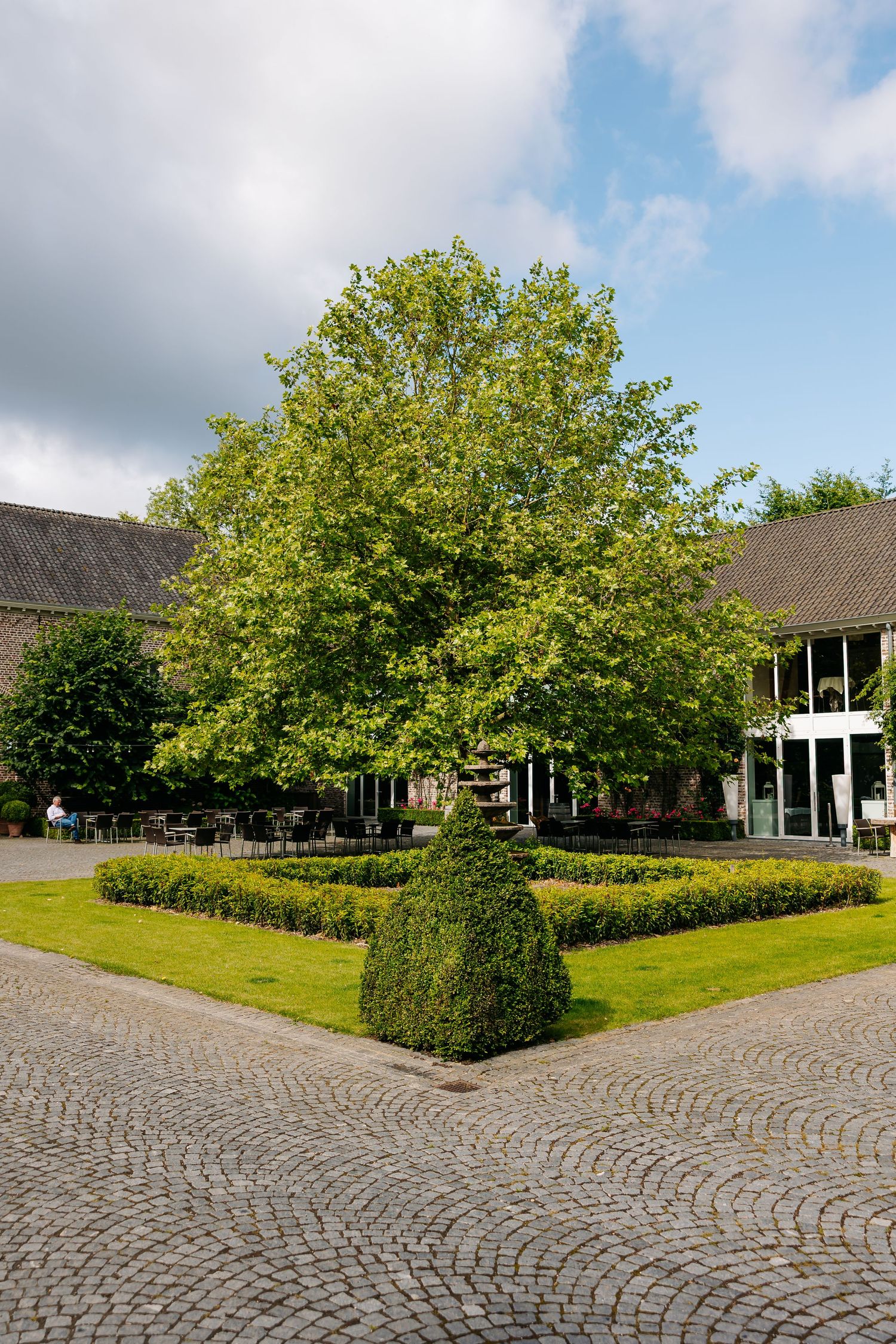 Elegant courtyard garden with large tree, manicured hedges, and cobblestone pavement at a venue.