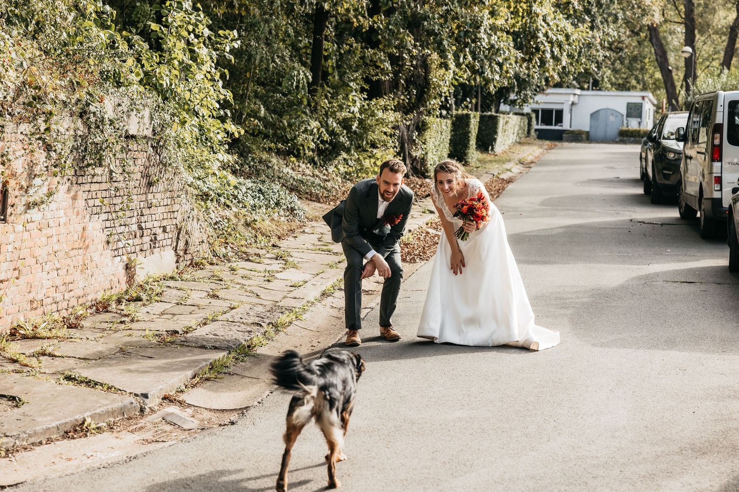 Bride and groom in wedding attire bending down to greet a dog on a street.