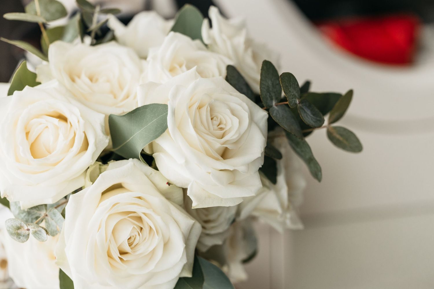 Close-up of an elegant bridal bouquet featuring cream roses and eucalyptus leaves on a white background.