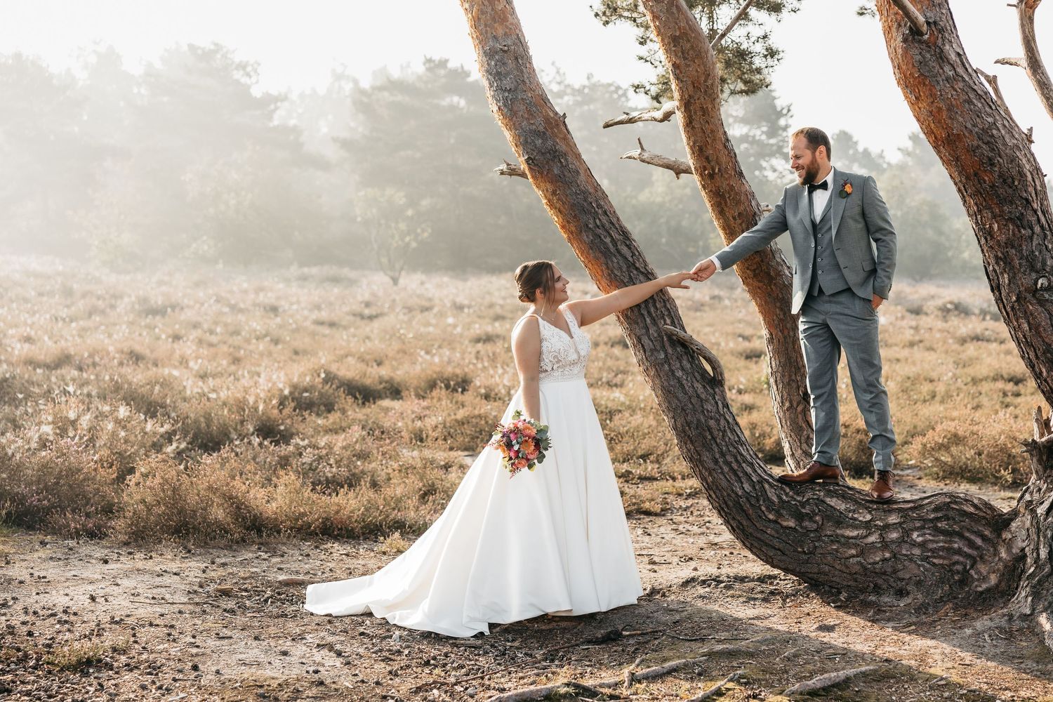 Bride and groom holding hands with a twisted pine tree between them in a golden misty heathland setting.