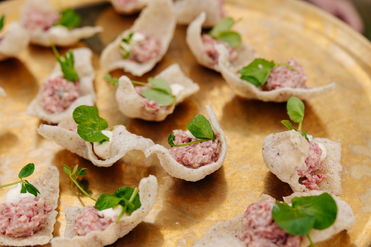 Gourmet wedding appetizers with minced meat filling in crispy cups garnished with herbs.