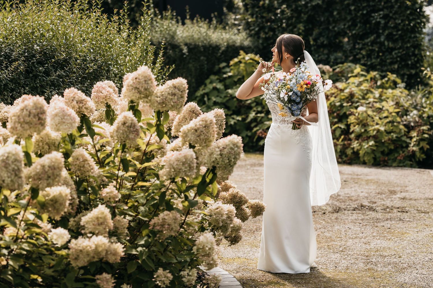 Elegant bride in white gown holds colorful bouquet beside blooming white hydrangeas in lush garden.
