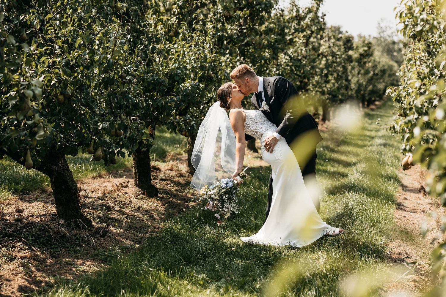 Couple shares a passionate dip kiss among green orchard trees on their wedding day.
