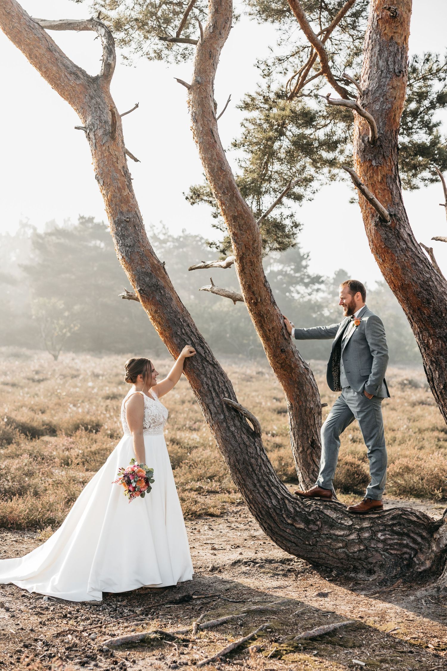 Bride and groom posing on opposite sides of a dramatic twisted pine tree in a misty heathland setting.