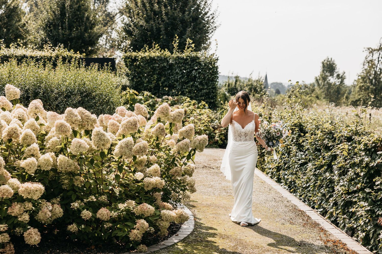 Bride in fitted white lace gown walks along garden path lined with blooming white hydrangea bushes.