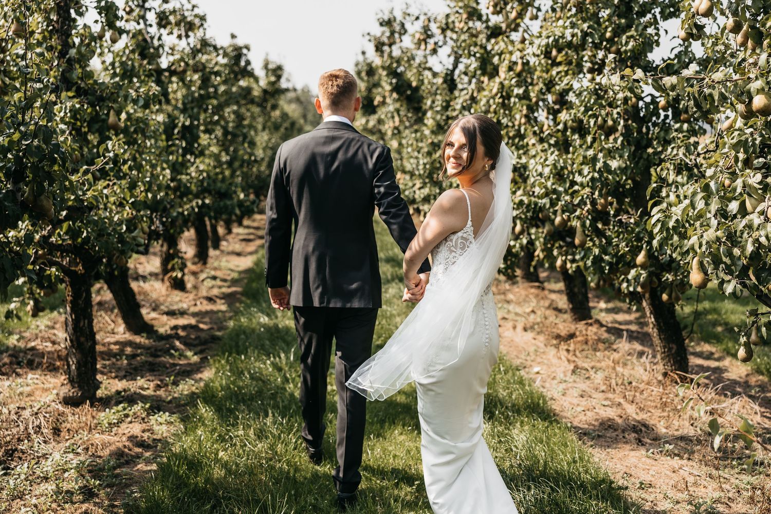 Bride in white gown and groom in black suit walk hand in hand through a sunlit orchard.