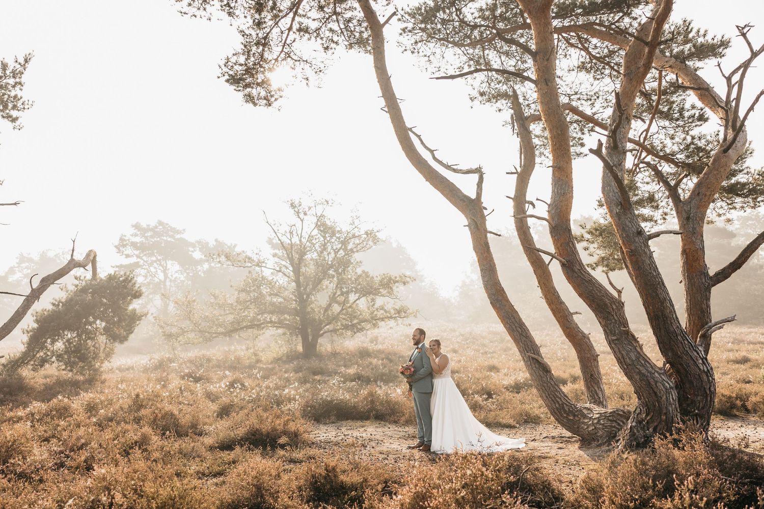 Bride and groom share a romantic moment surrounded by foggy pine trees in a sun-drenched autumn heathland.