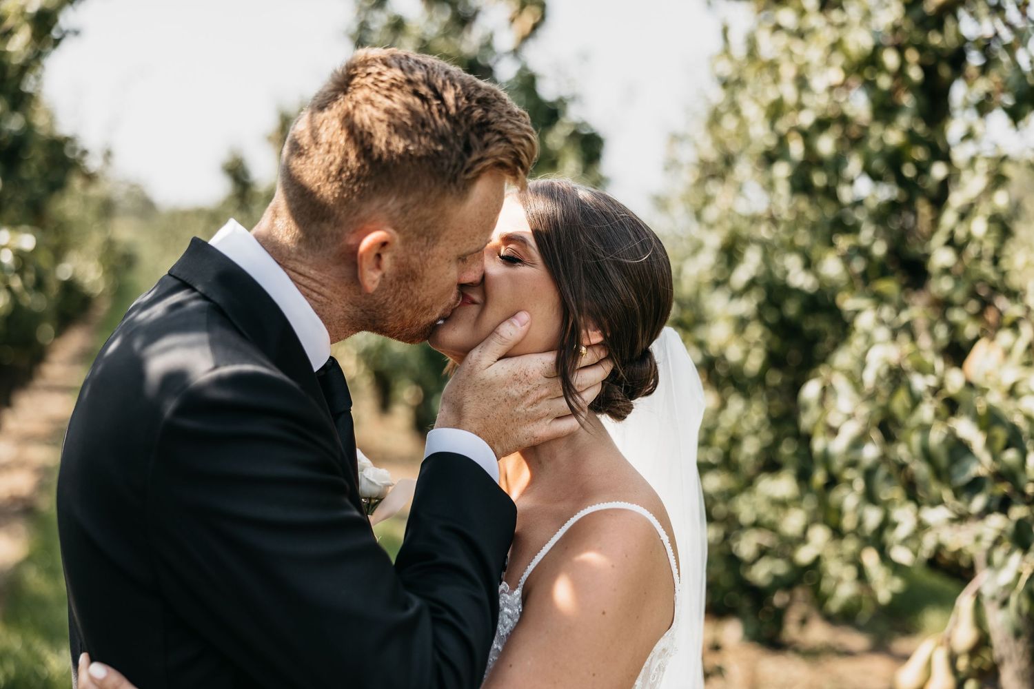 Groom gently cups brides face for a tender kiss between lush green orchard trees.