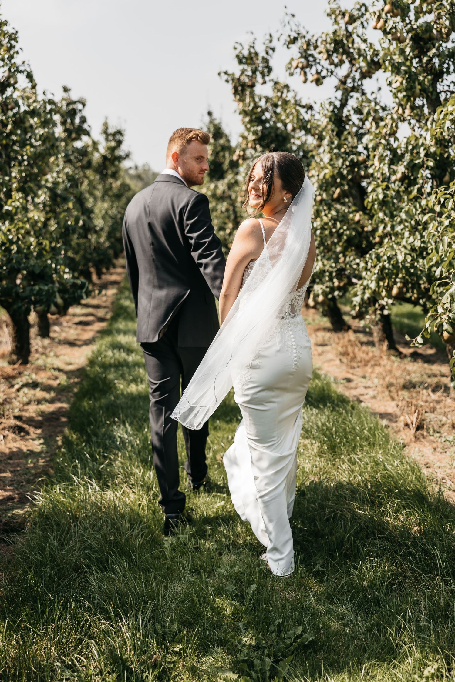 Wedding couple walks through orchard rows, bride in lace gown with flowing veil glances back.