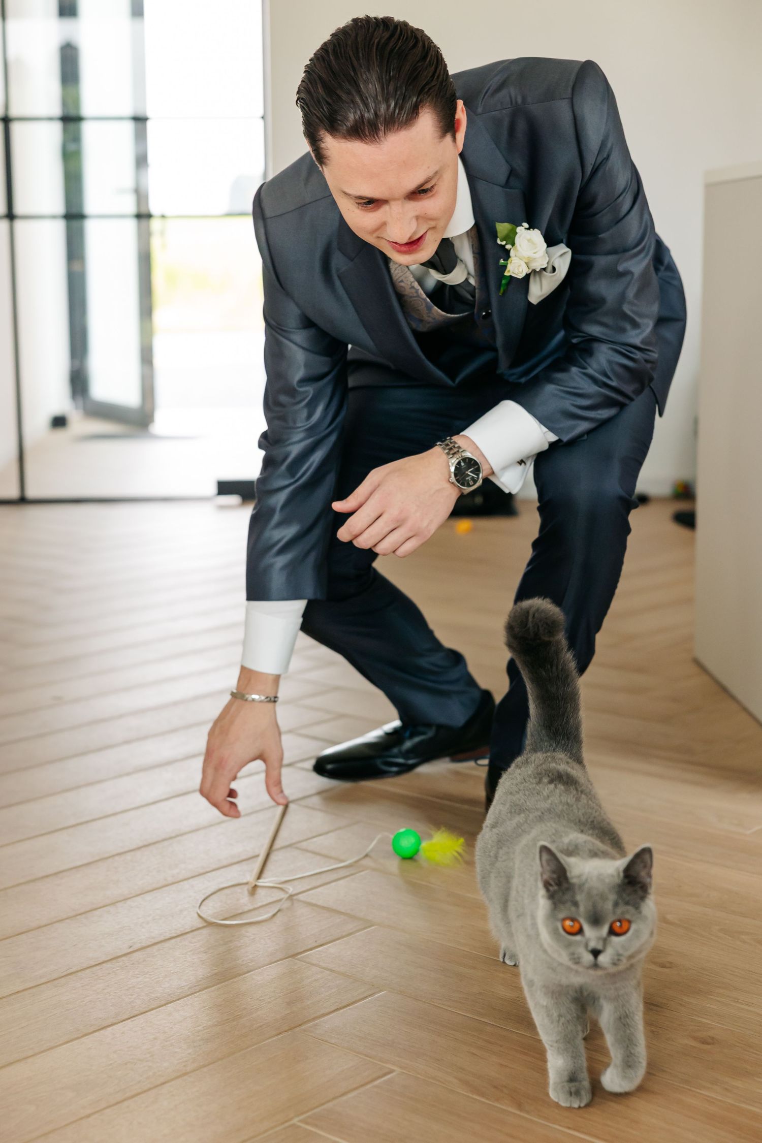 Groom in navy wedding suit crouches to play with gray British Shorthair cat on hardwood floor.