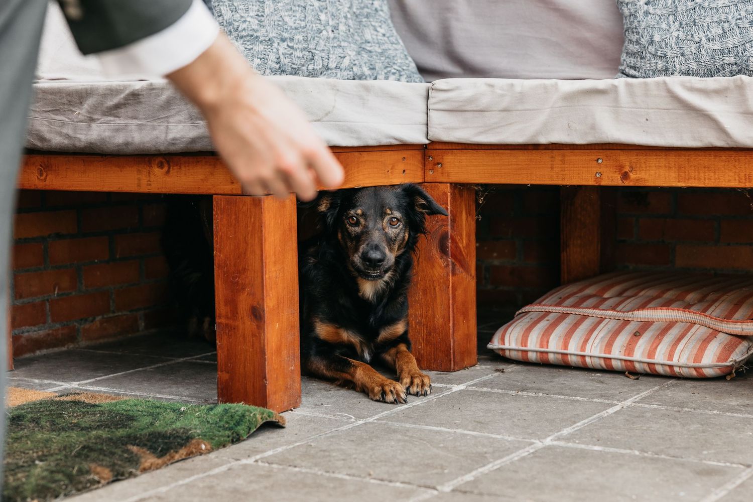 Small black and tan dog hiding under a wooden outdoor sofa on a tiled patio.