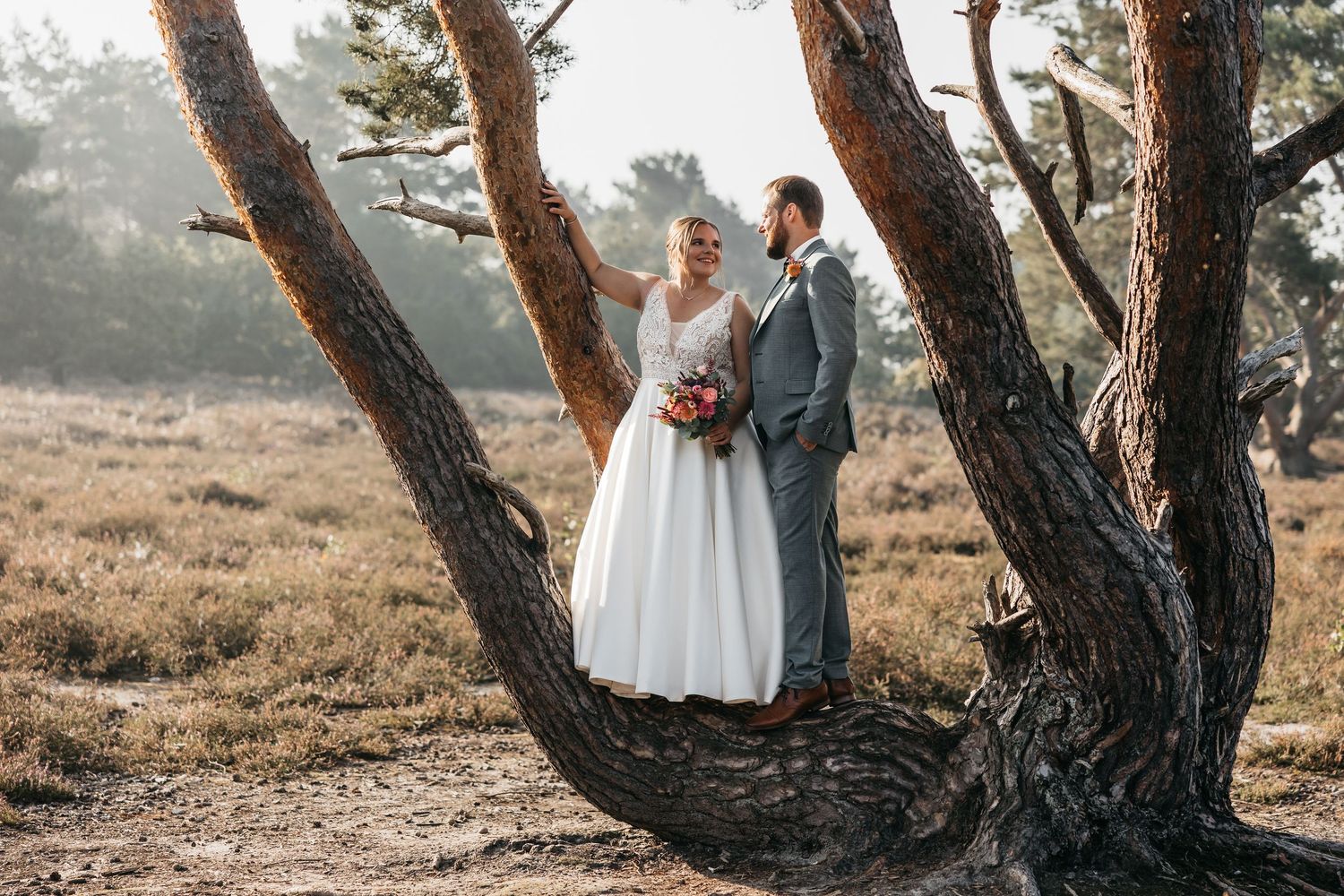 Bride and groom share a tender kiss leaning against a twisted pine tree in a golden misty heathland setting.