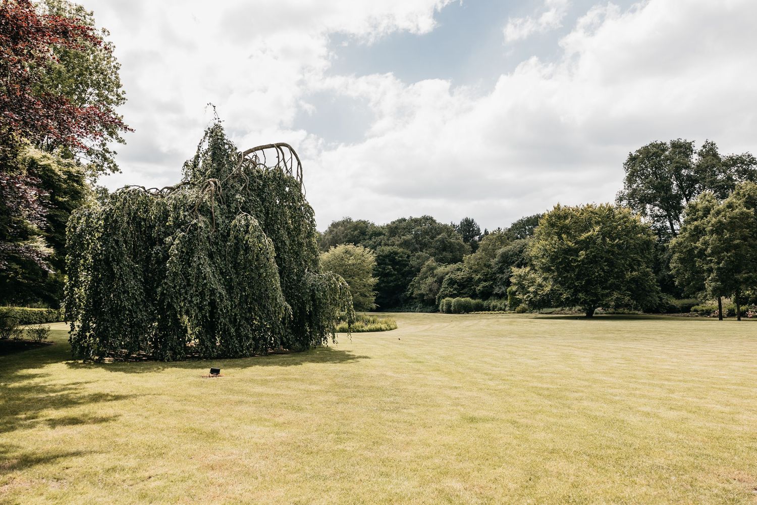 Scenic wedding venue grounds featuring a weeping willow tree on lush green lawn under cloudy sky.