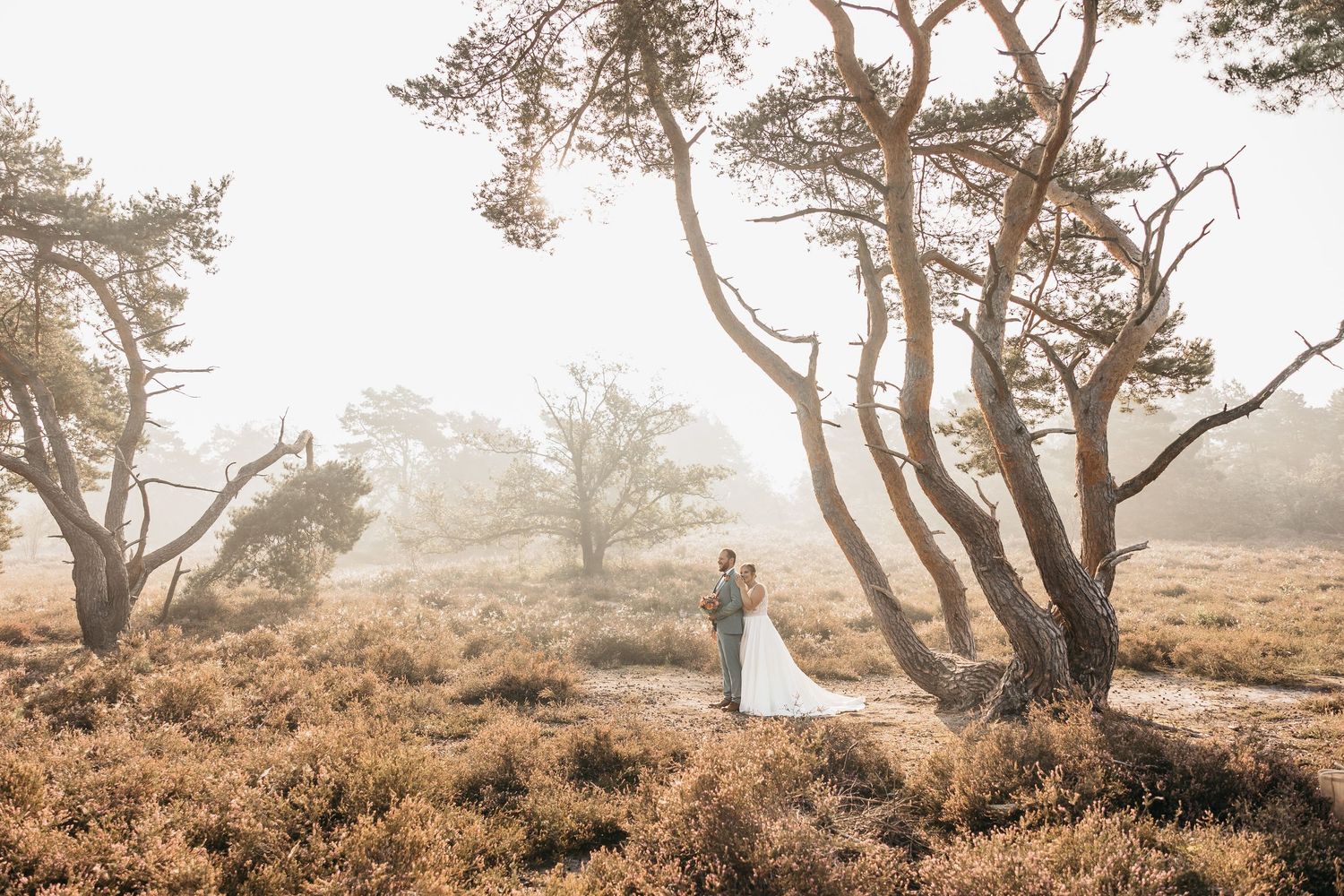 Bride and groom stand in a wide misty heathland landscape framed by twisted pine trees on their wedding day.
