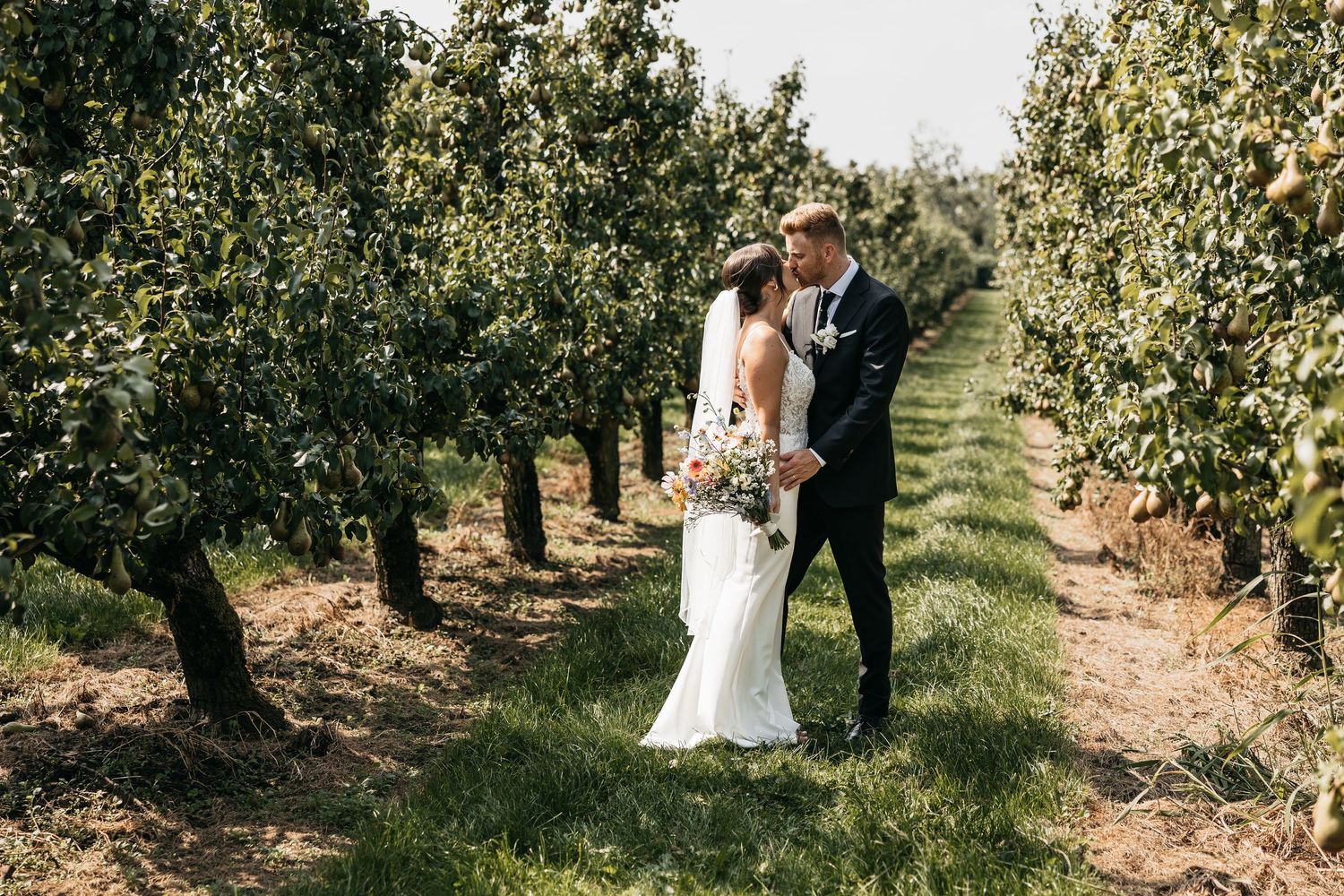 Bride and groom share a romantic moment kissing between rows of lush green trees in an orchard.