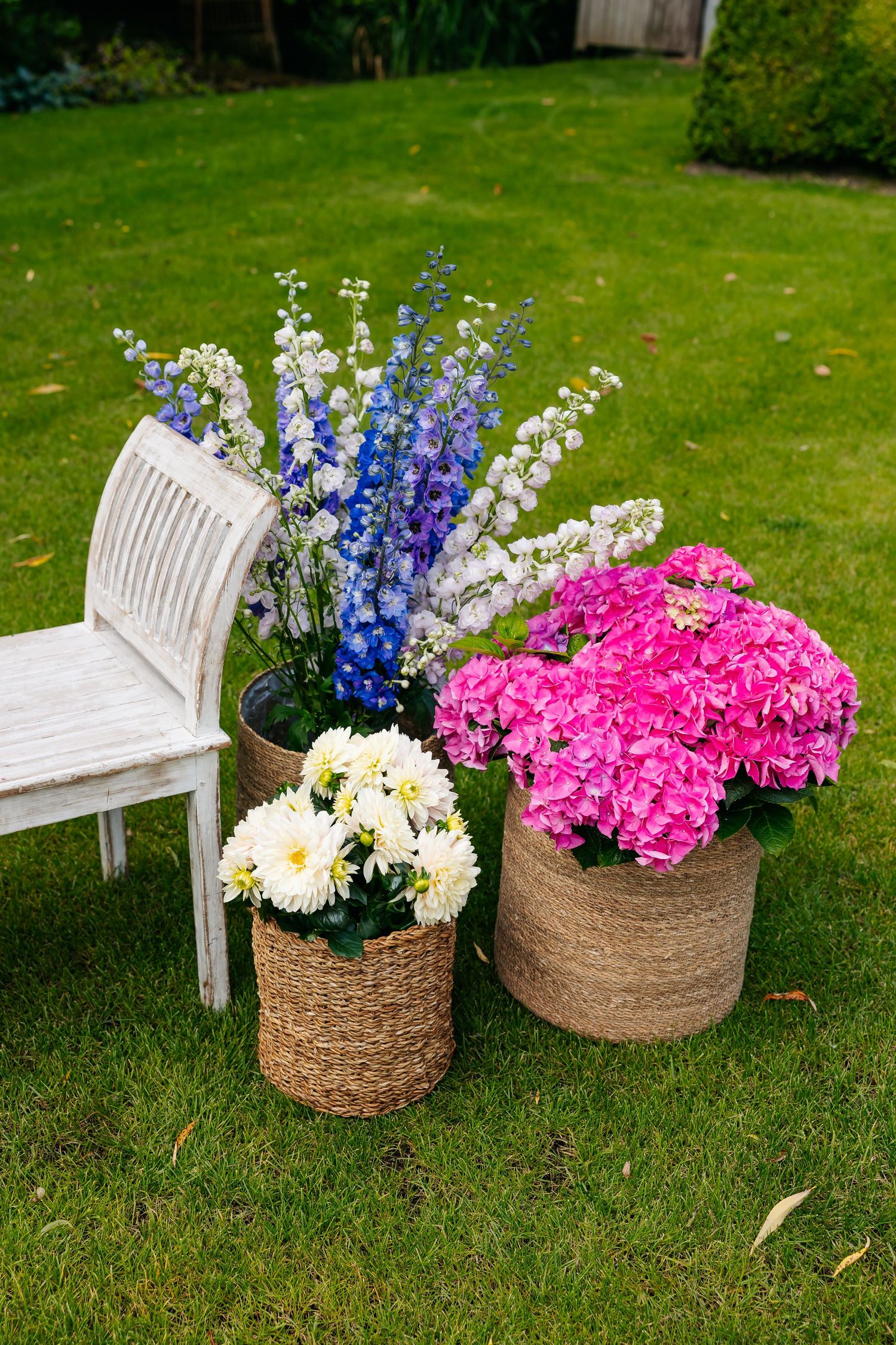 Colorful wedding floral arrangements in wicker baskets with pink hydrangeas and blue delphiniums on green lawn.