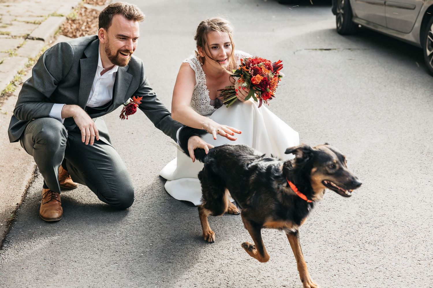 Laughing newlyweds crouching to pet a black dog with red bouquet on wedding day.