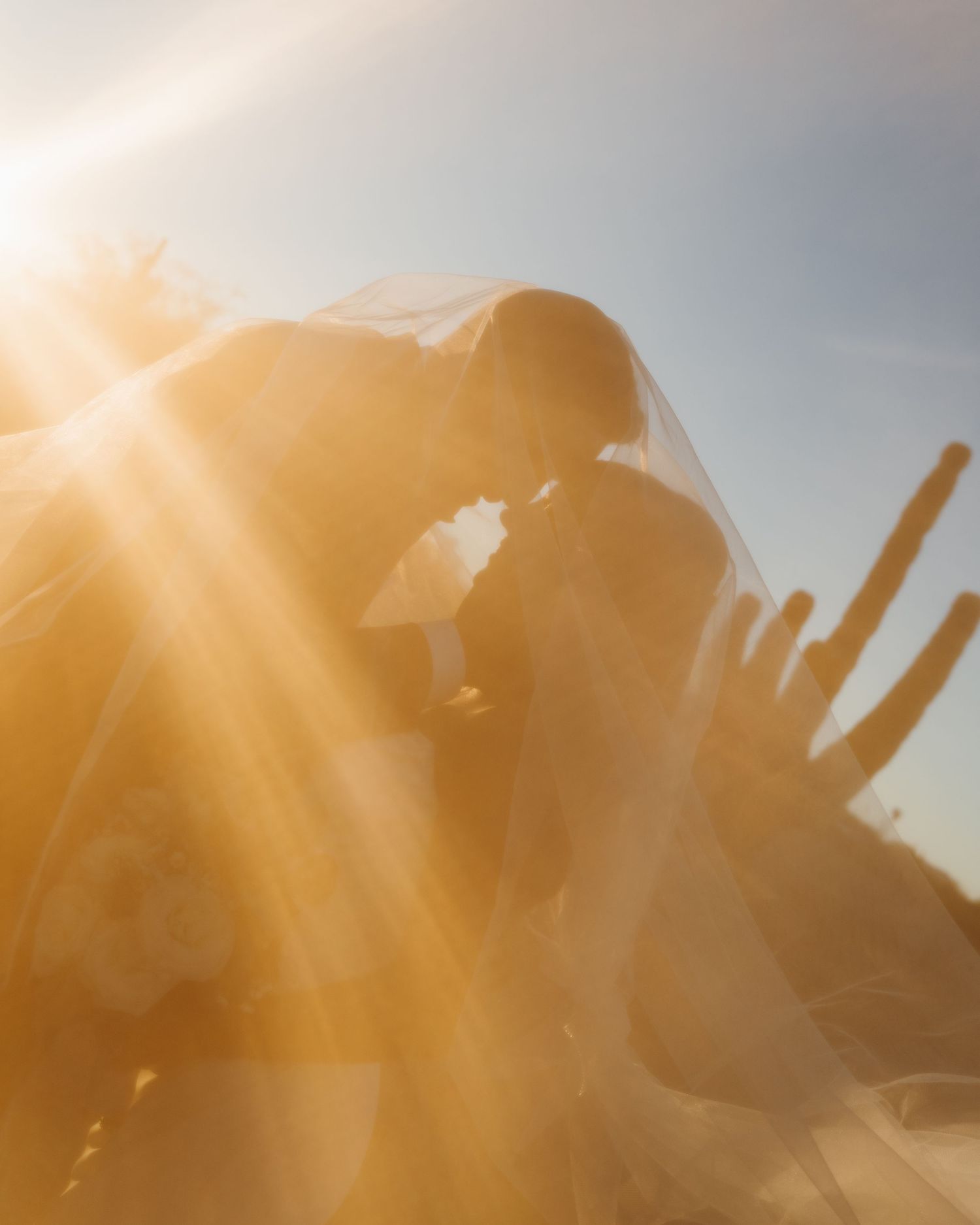 Bride and groom silhouetted under veil in golden sunlight with cacti in desert wedding setting.
