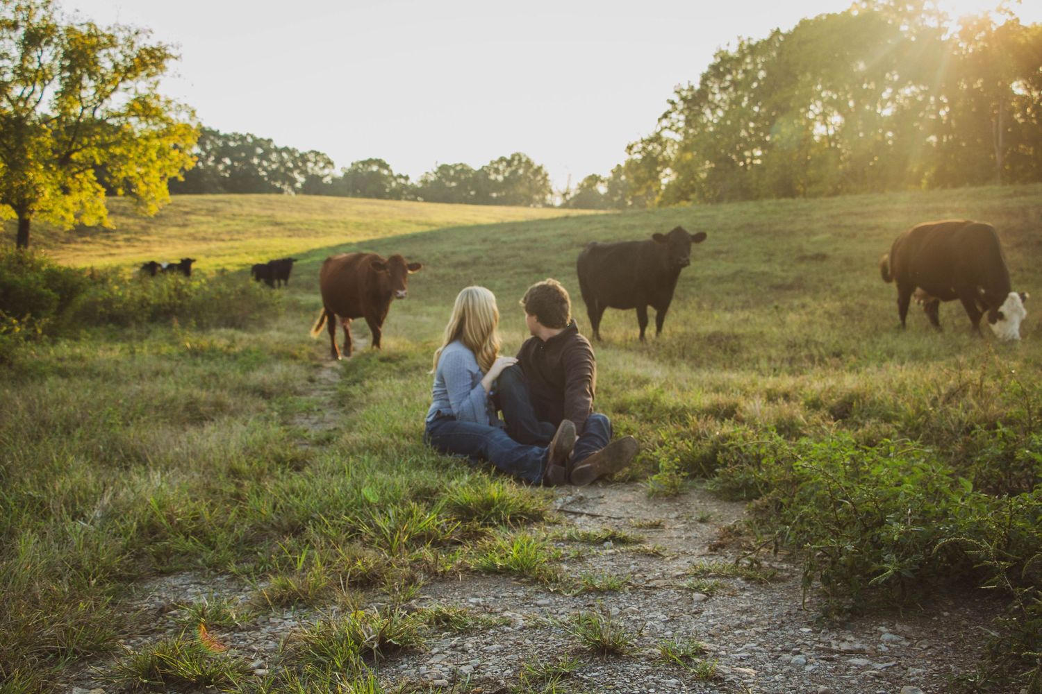 Couple sitting together in a pasture surrounded by cattle at sunset.