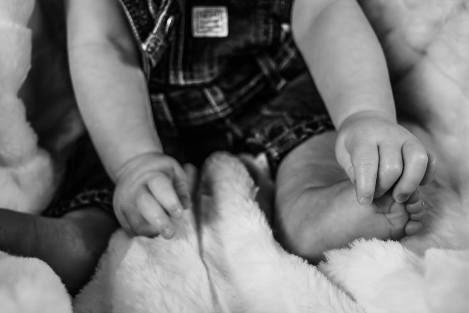 Black-and-white close-up of a baby’s tiny hands during a milestone session.
