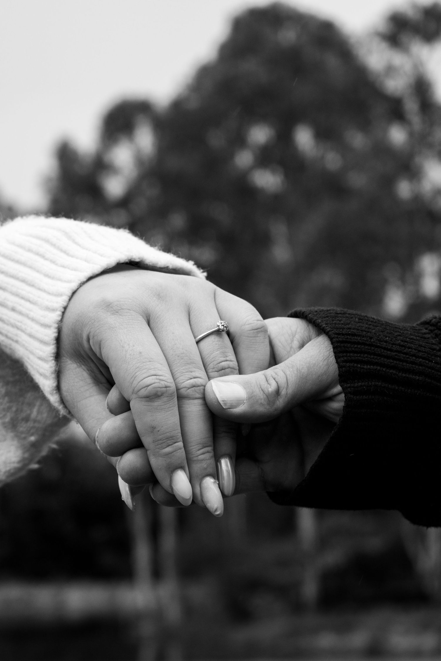 Couple celebrating their engagement in Brisbane.