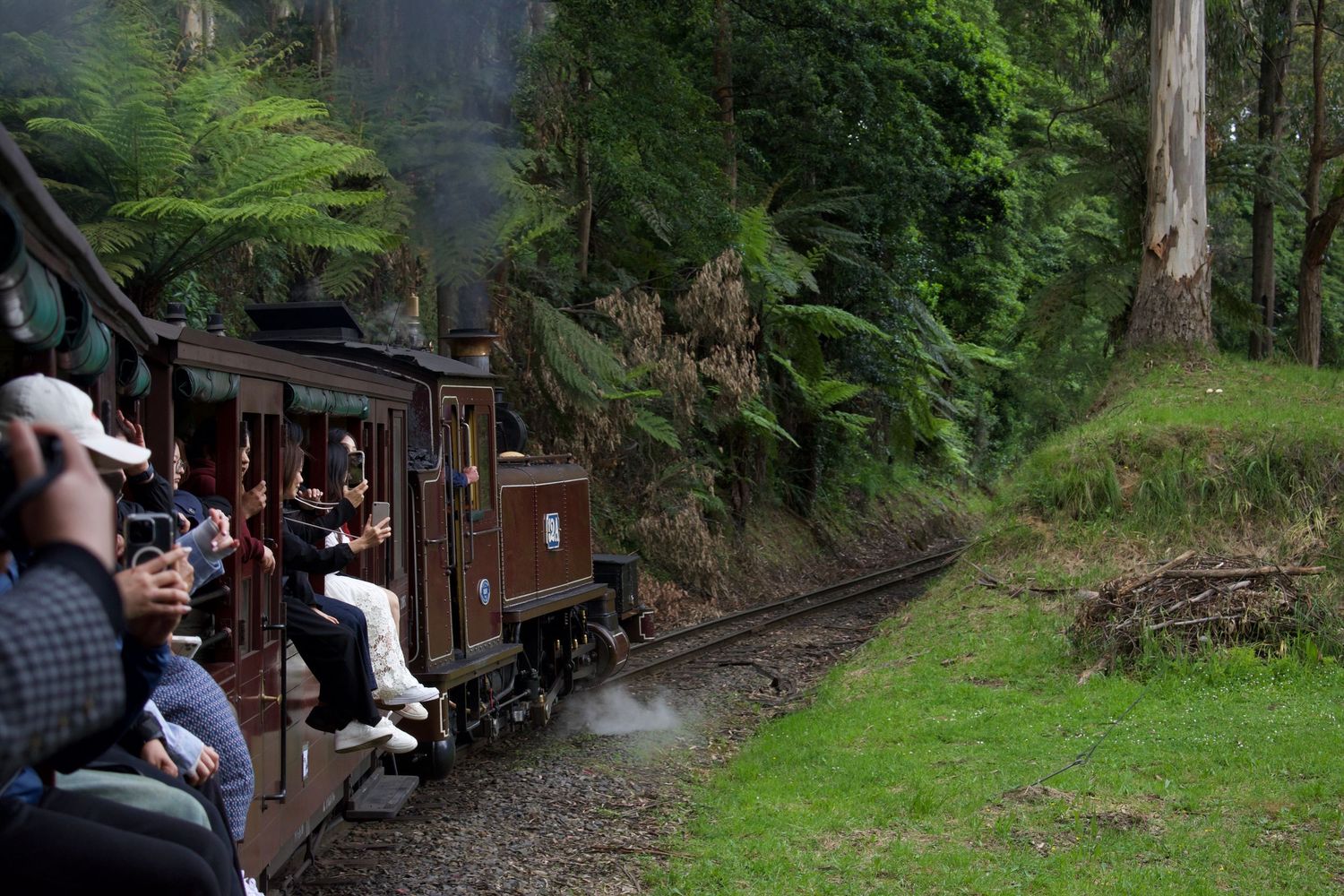 Celebrating mom with a birthday Puffing Billy trip in Australia.