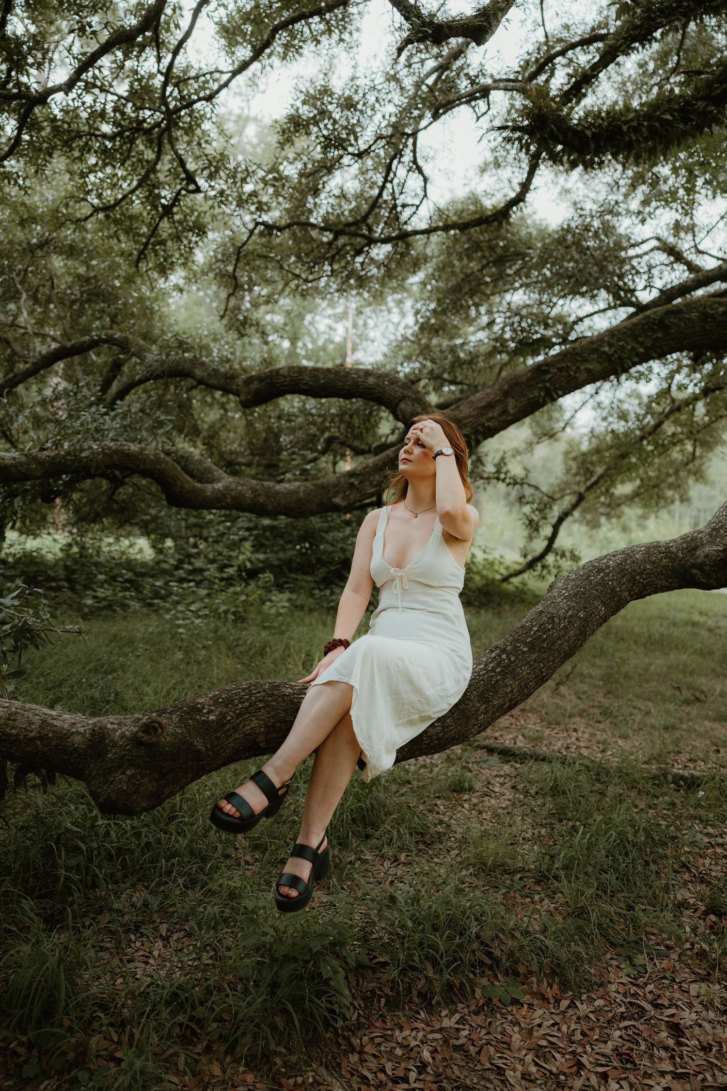 women in white dress sitting in a tree