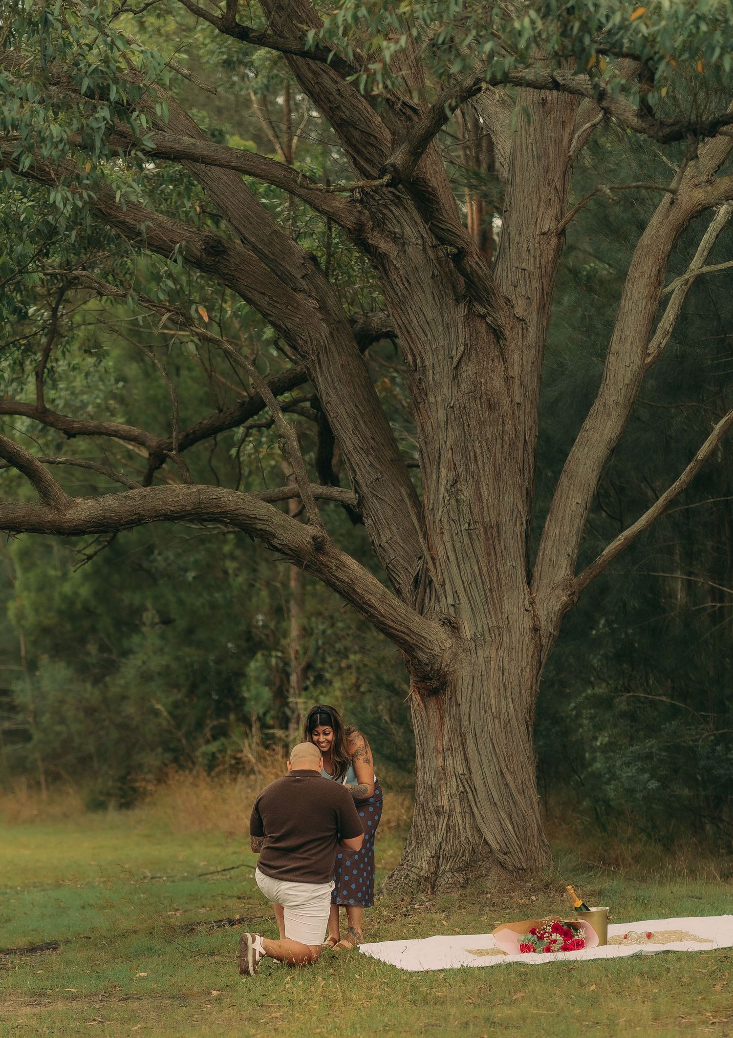 A man kneels proposing to a woman beneath a massive tree with rose petals on a blanket nearby.