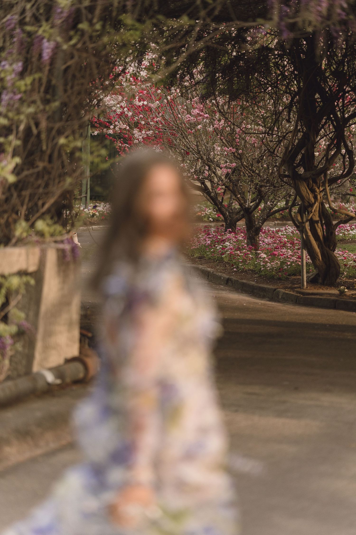 Blurred woman in floral dress walking along path lined with flowering trees.