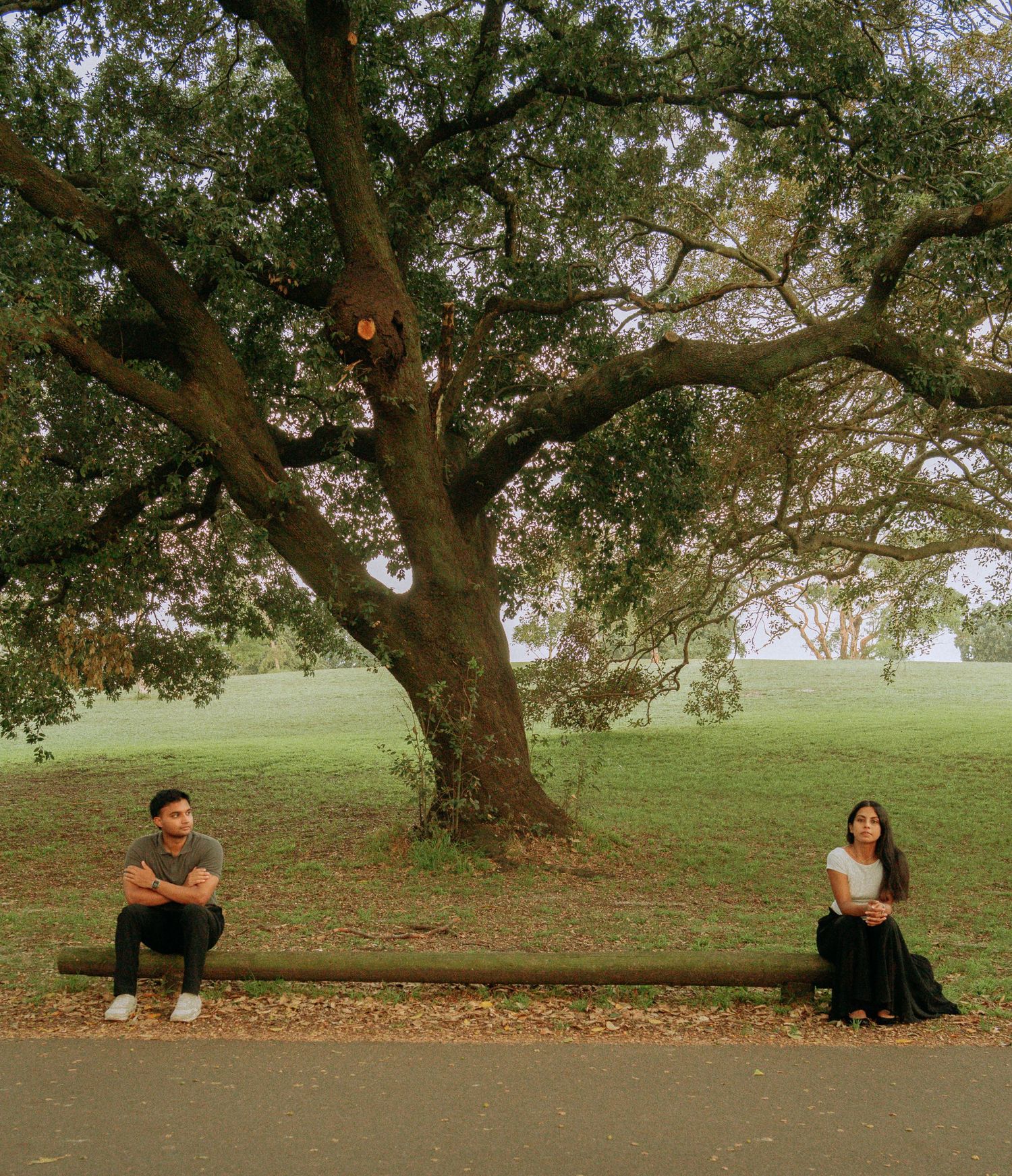 A couple sits apart on a fallen log beneath a large sprawling tree in an open green park setting.