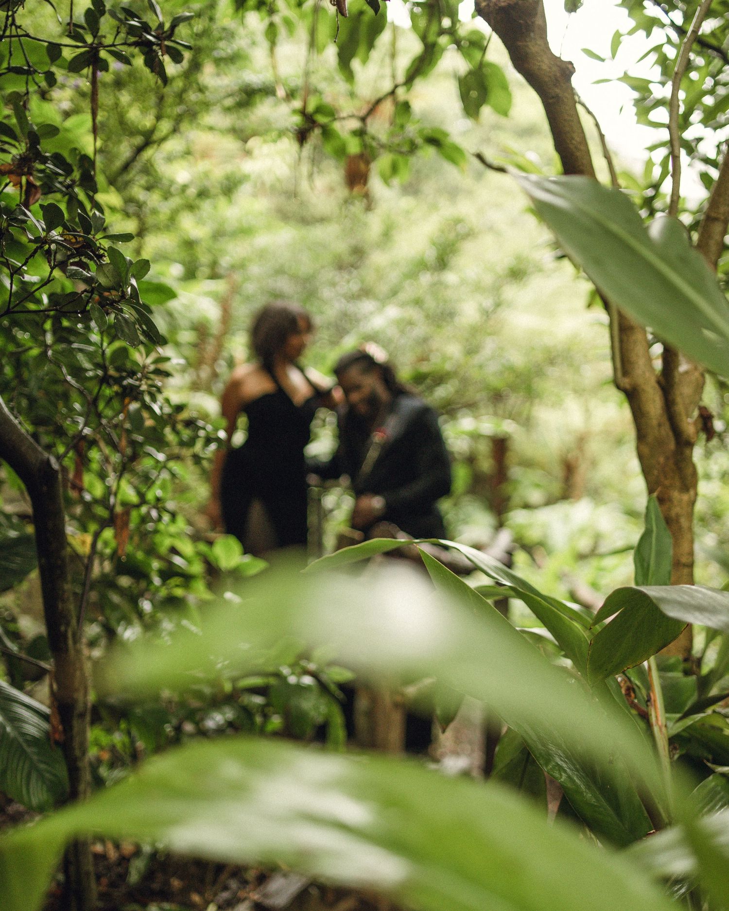 Couple standing together in a lush green forest, softly blurred through tropical foliage.
