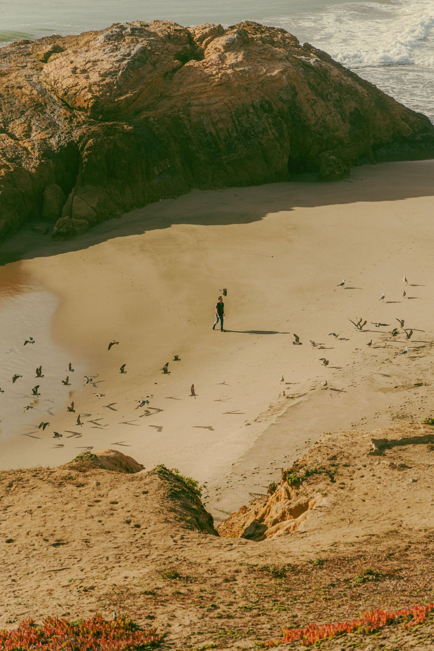 Aerial view of person standing on sandy beach surrounded by flock of birds near large coastal rock.