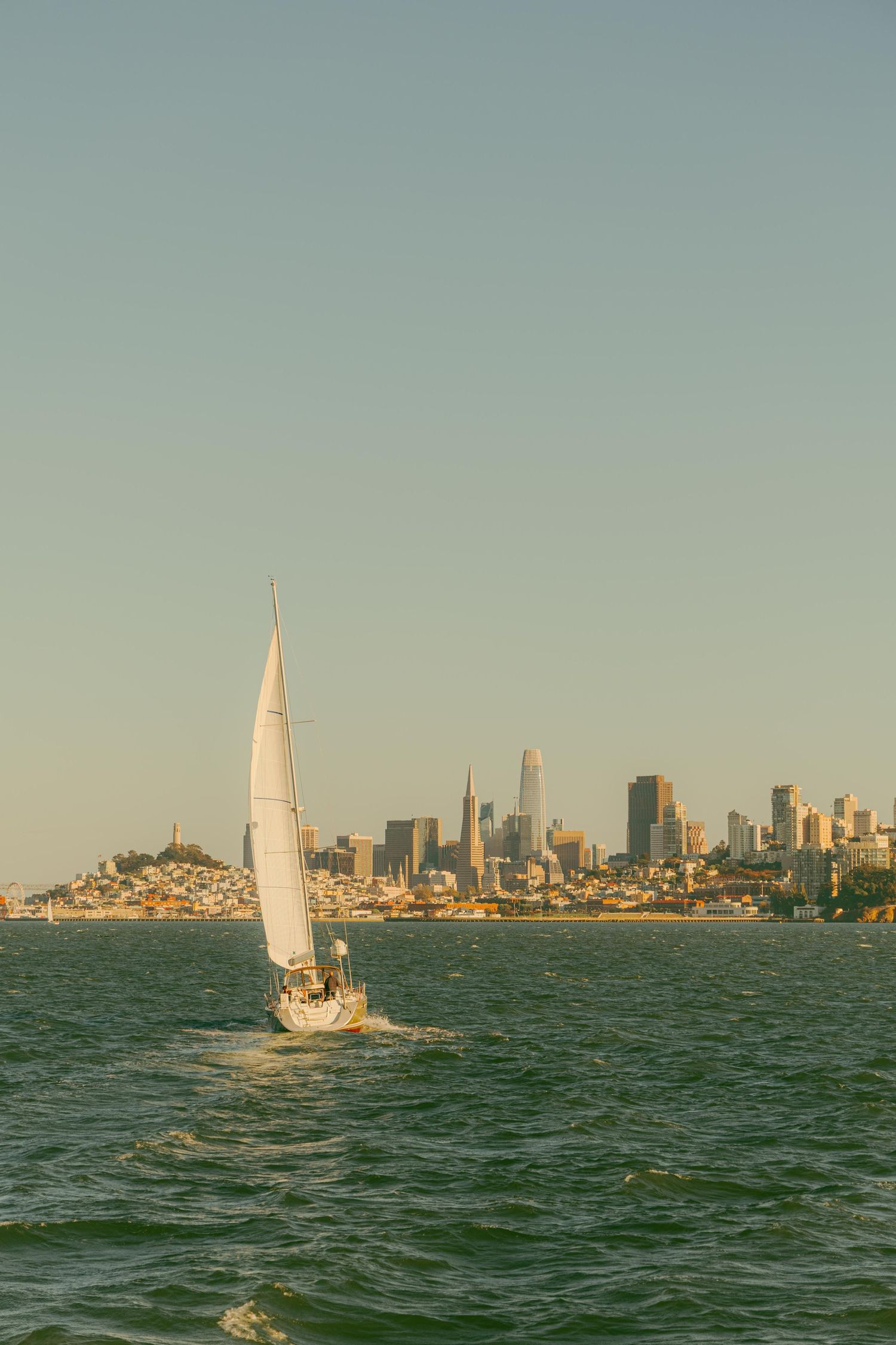 Sailboat gliding across San Francisco Bay with the city skyline and Coit Tower visible in the golden afternoon light.