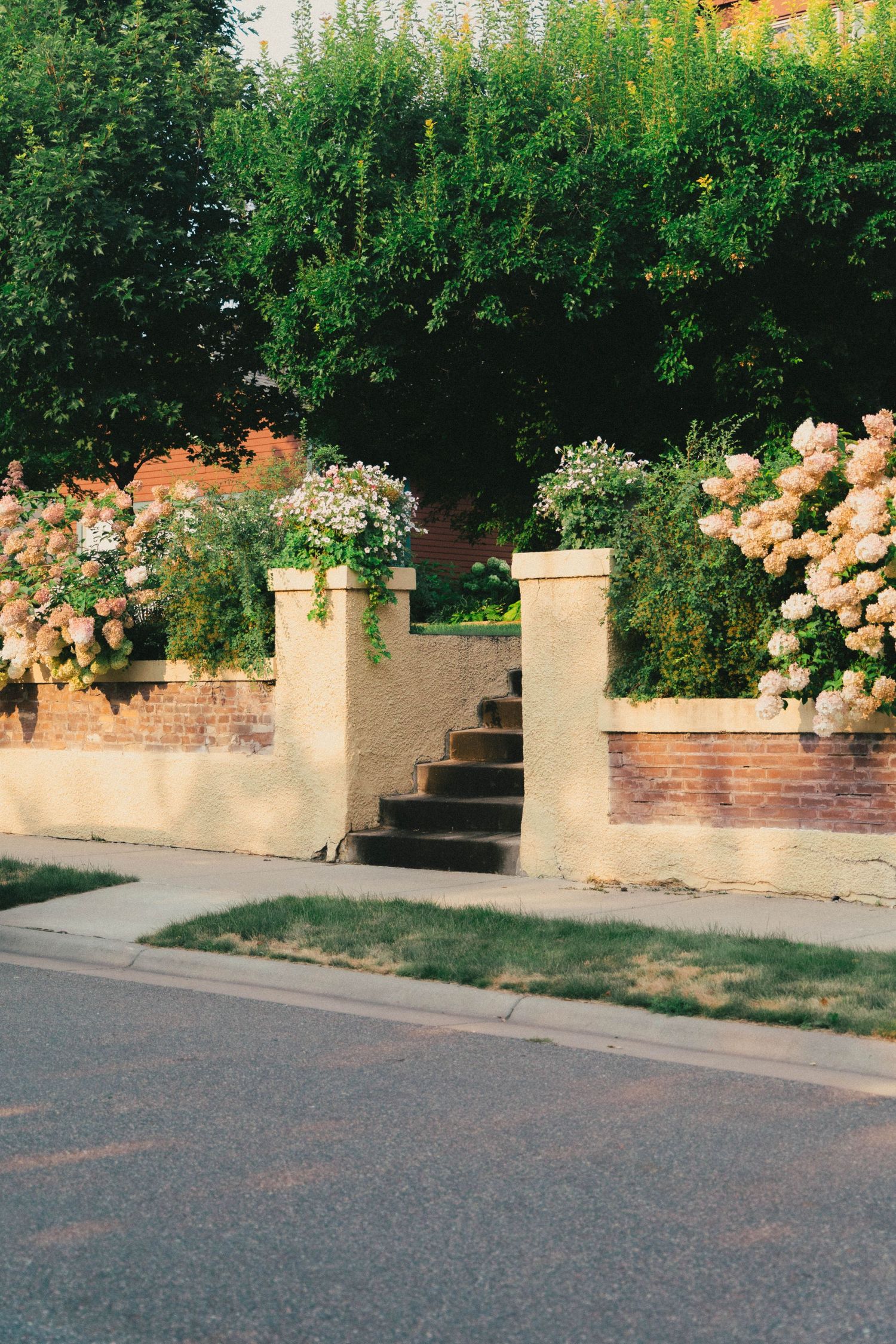Charming brick garden wall with stone pillars, blooming hydrangeas, and steps leading to a lush green yard.