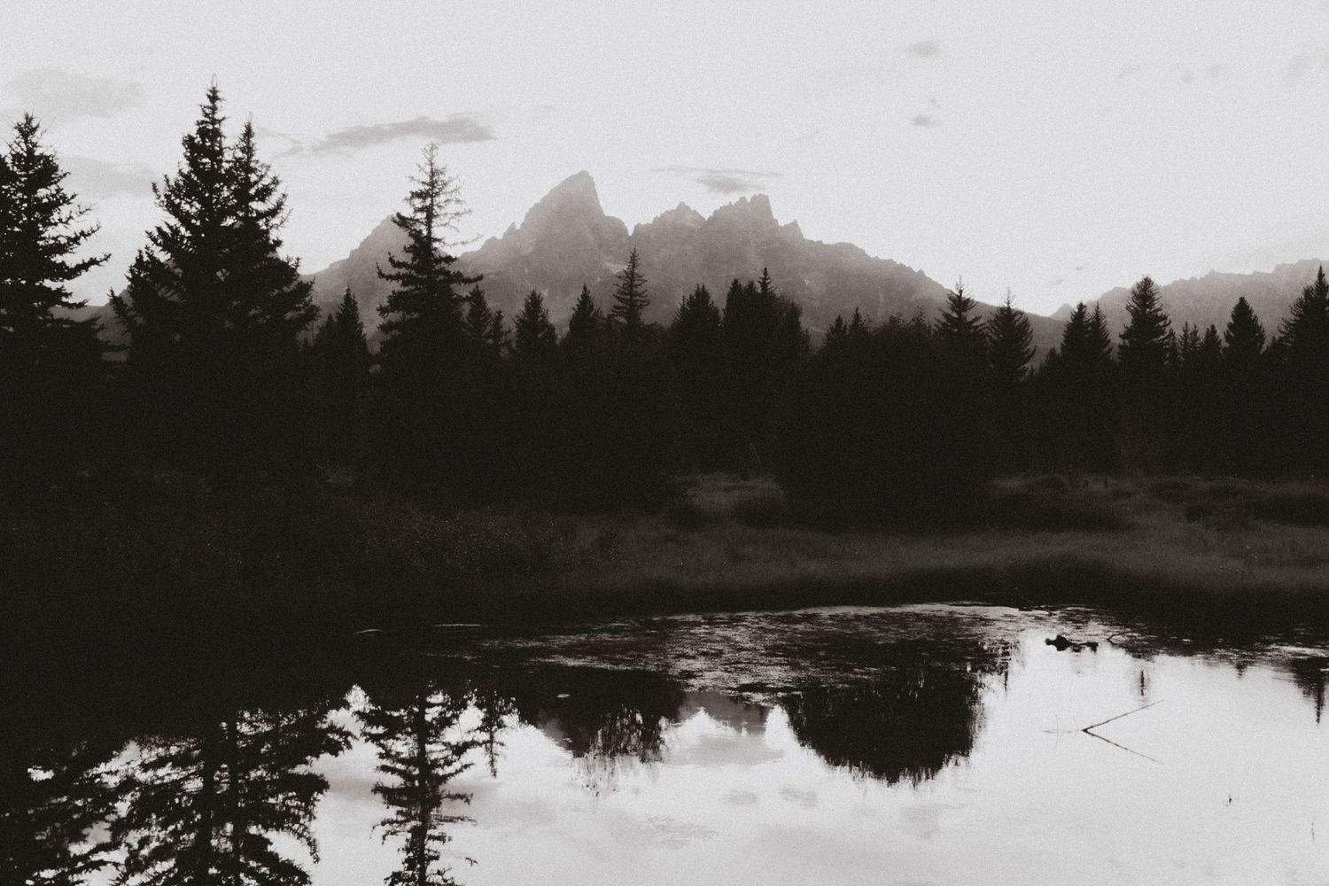 Black and white landscape photo of pine trees reflected in a calm mountain lake with misty peaks in the background.