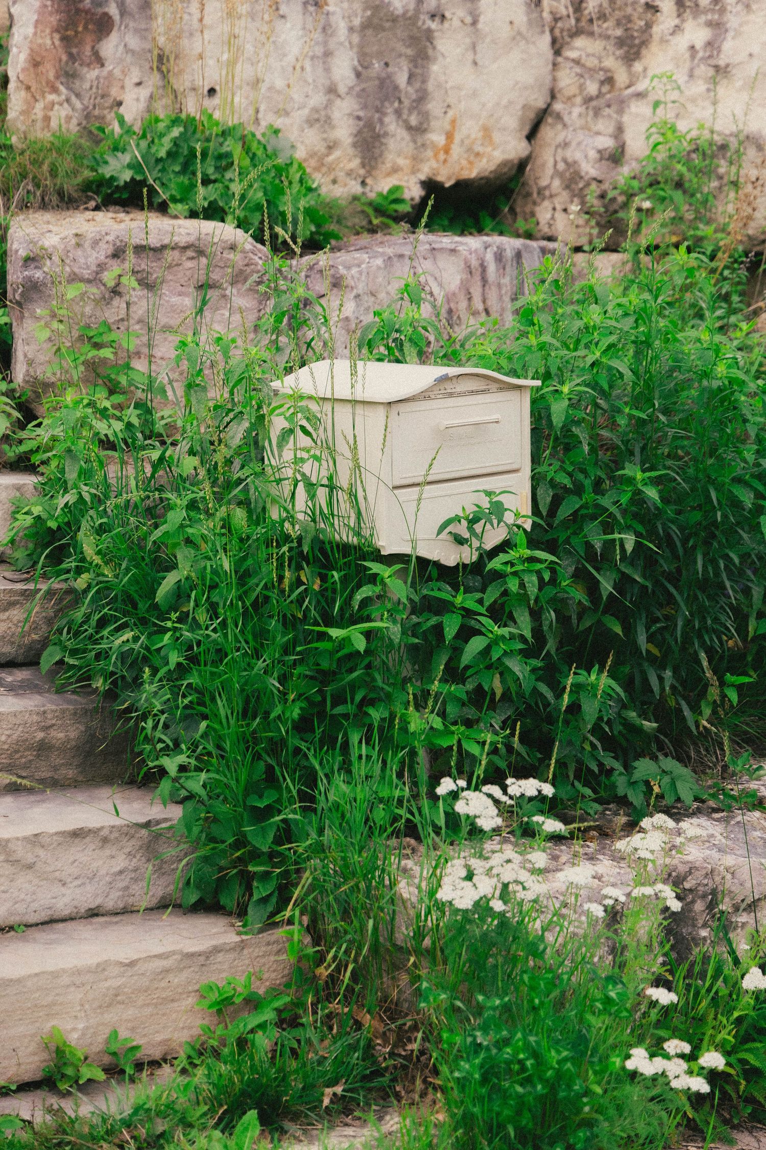 A wooden beehive nestled among lush green plants on stone steps in a natural garden setting.