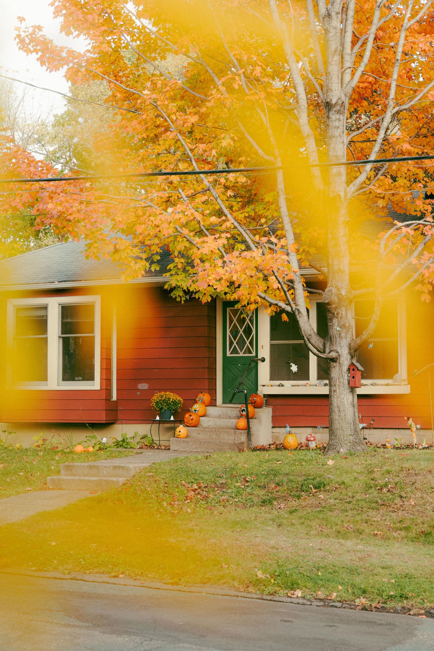 Red cottage home with green door decorated with Halloween pumpkins surrounded by vibrant orange autumn maple trees.
