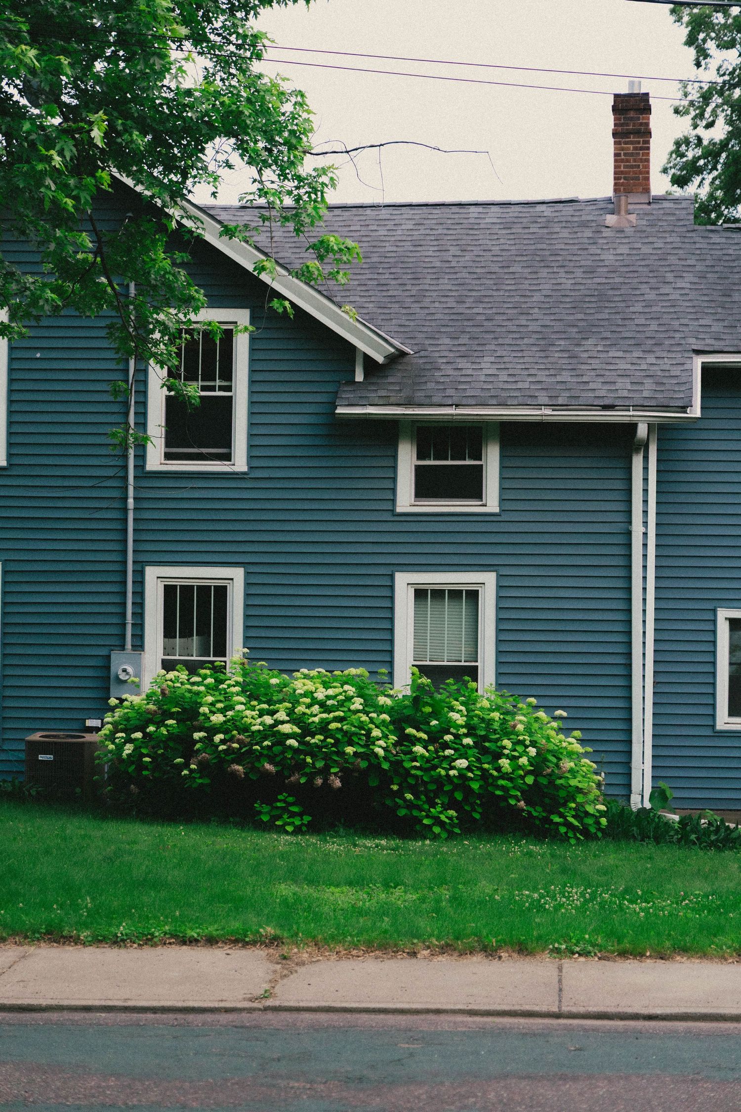 Blue two-story house with white trim windows, hydrangea bushes, gray roof, and brick chimney on a quiet residential street.