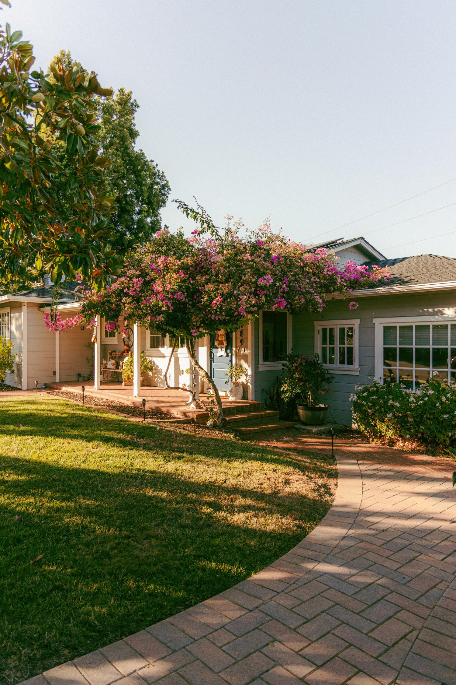Charming suburban home with blooming pink bougainvillea archway, brick pathway, and lush green lawn at golden hour.