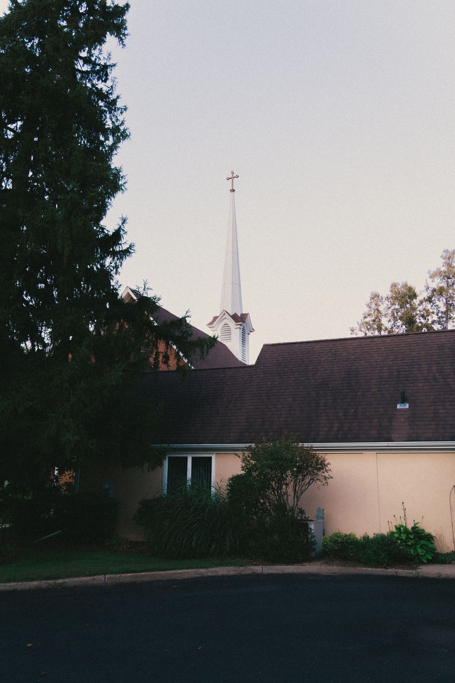 A white church steeple with cross rises above a tan building with dark roof, framed by tall evergreen trees.