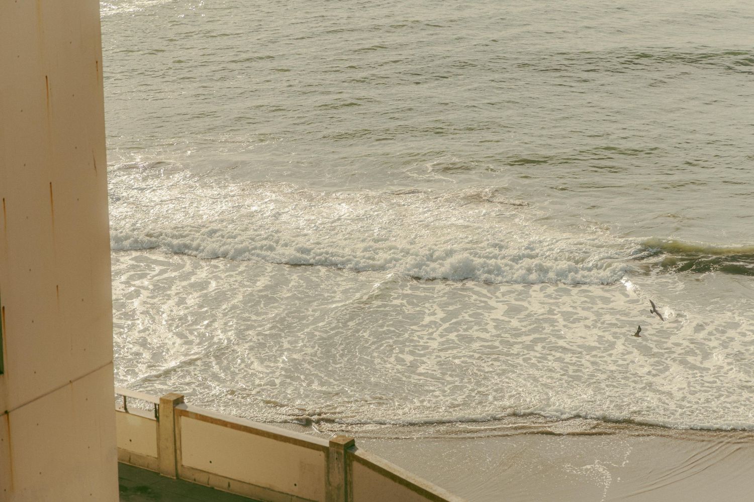 Aerial view of ocean waves breaking near shoreline with seagulls flying over water beside building edge.