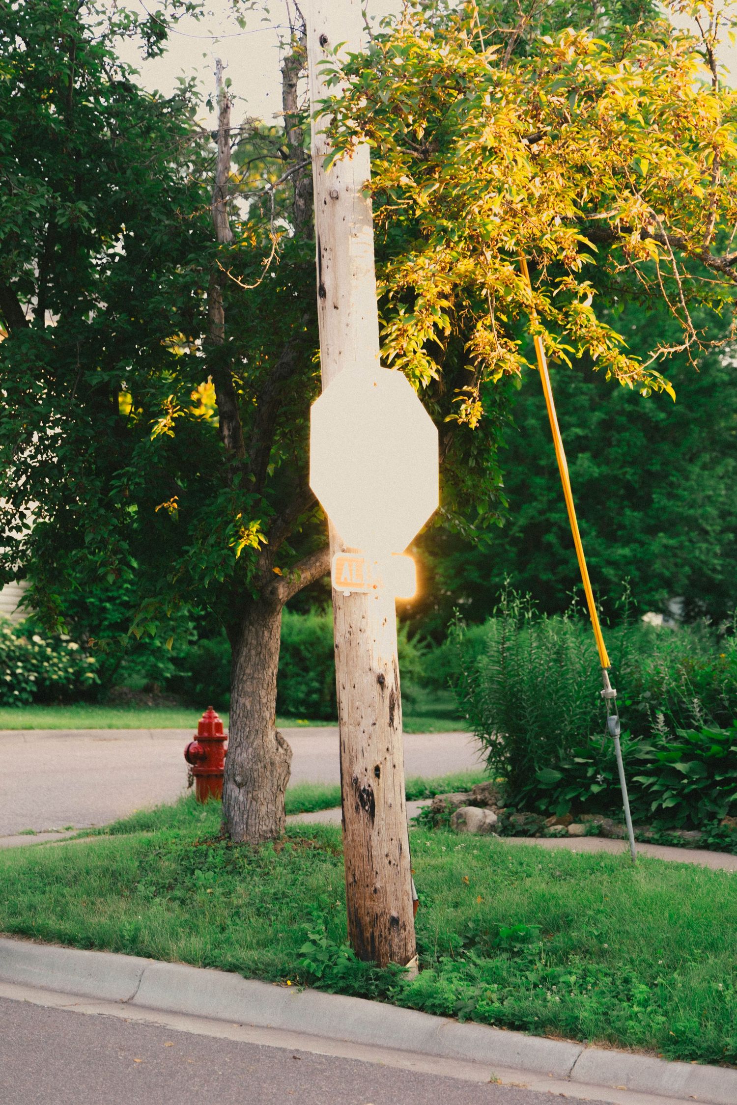Sun-bleached stop sign on a weathered wooden pole near a red fire hydrant, surrounded by lush green trees at sunset.