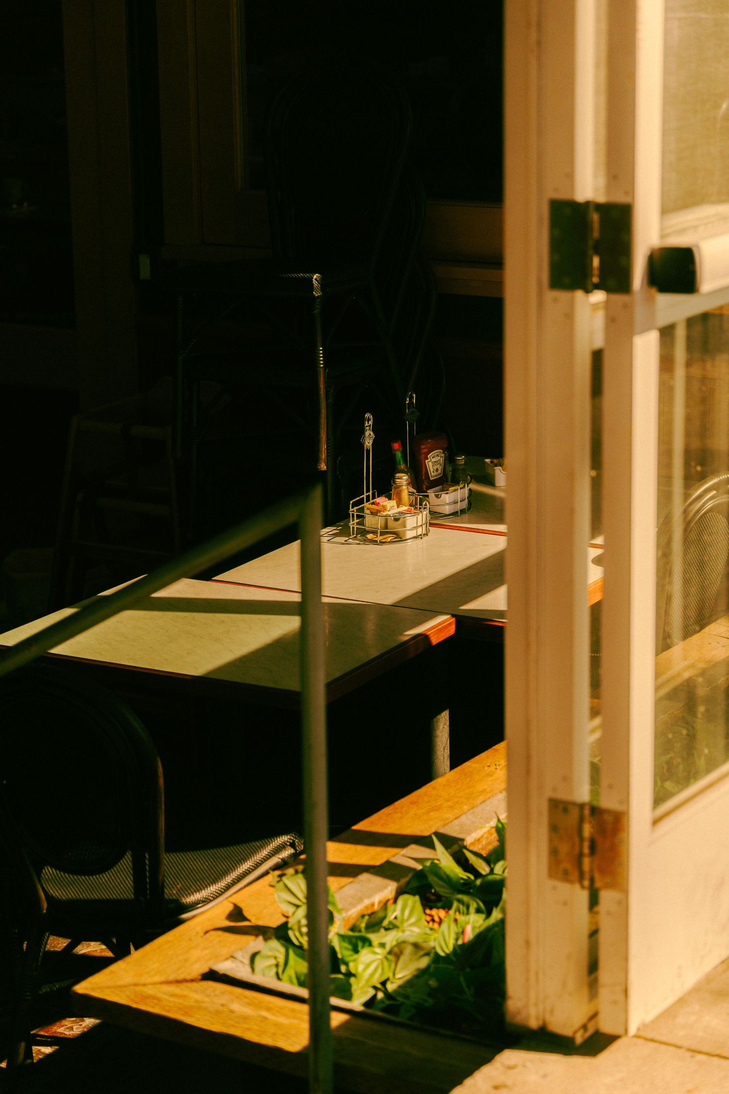Warm golden sunlight streams through a glass door onto a cafe table with condiments and green plants.
