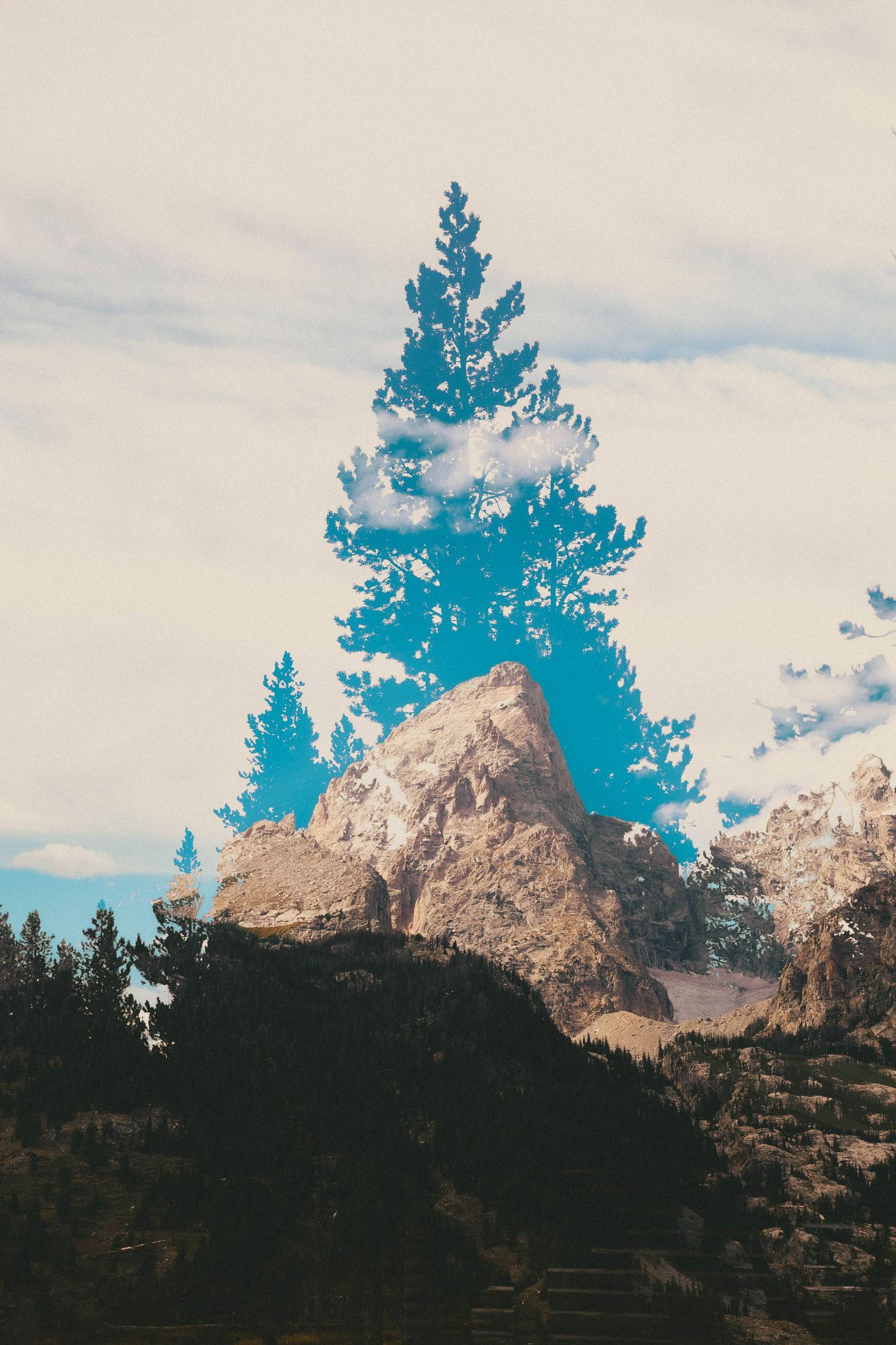 Double exposure of a pine tree silhouette overlaid on a rocky mountain peak with cloudy blue sky background.