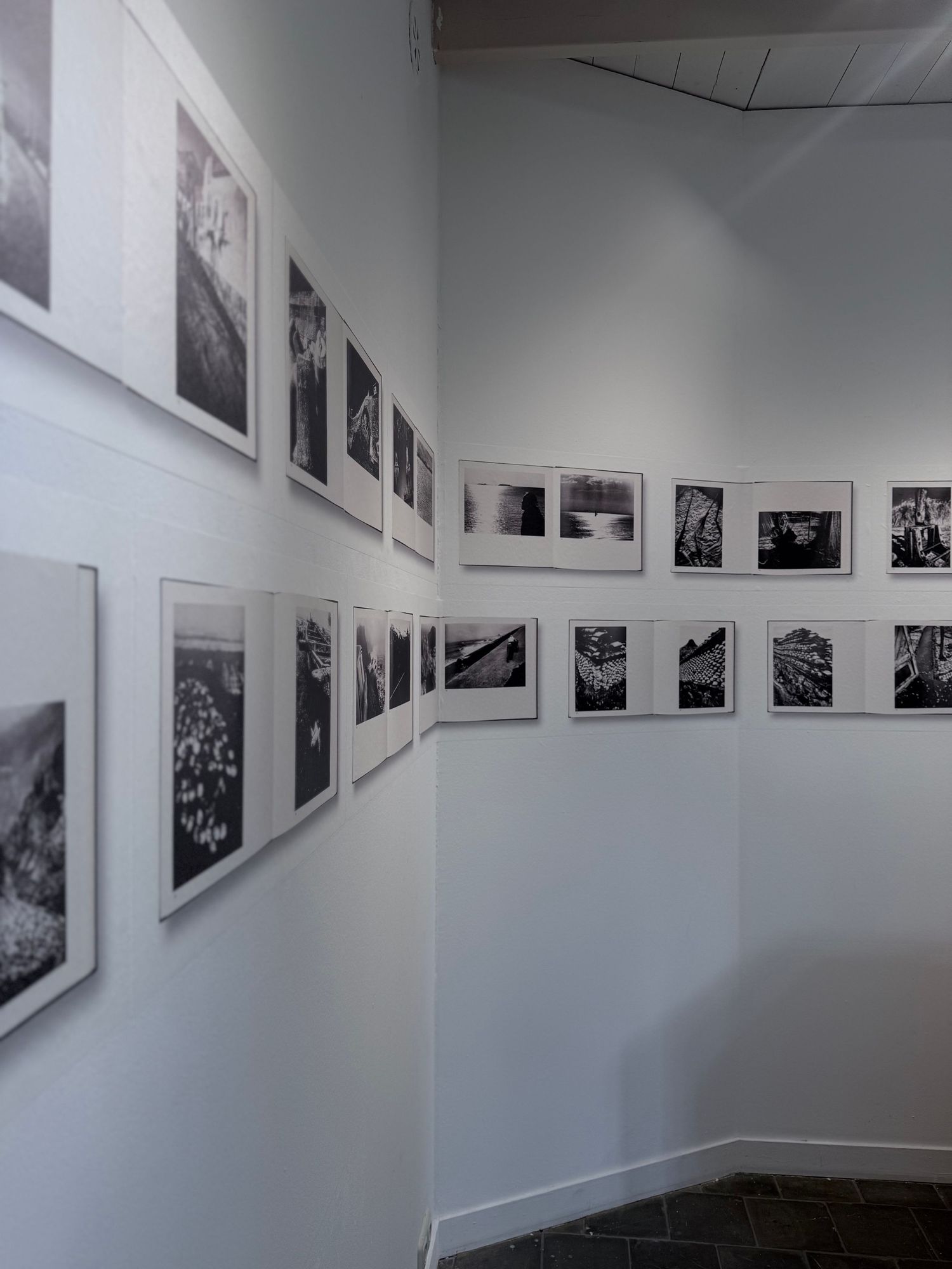Artist presenting new pieces at gallery opening, professional photography for social media