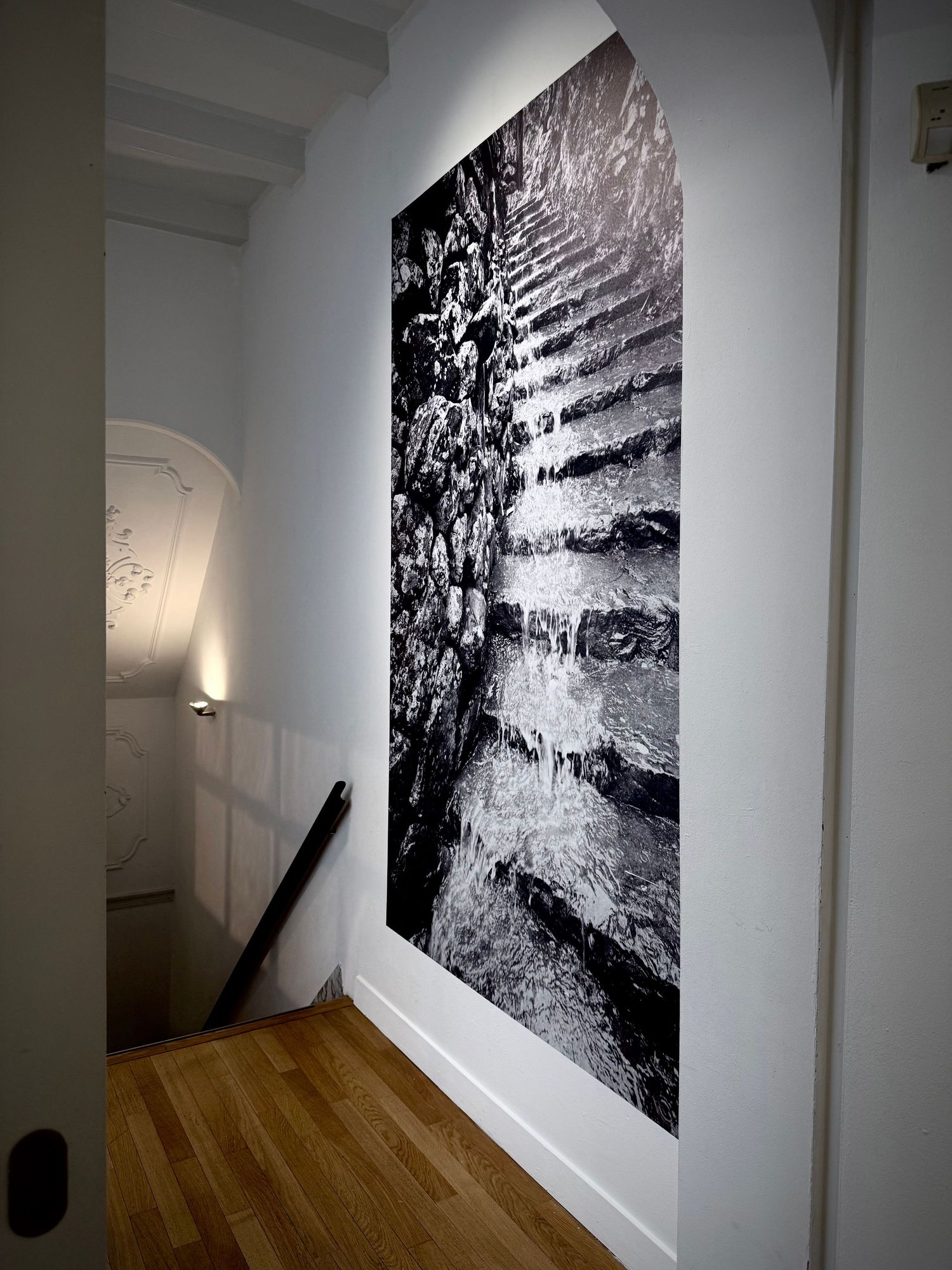Gallery photography of creators presenting their art, authentic visuals for social media