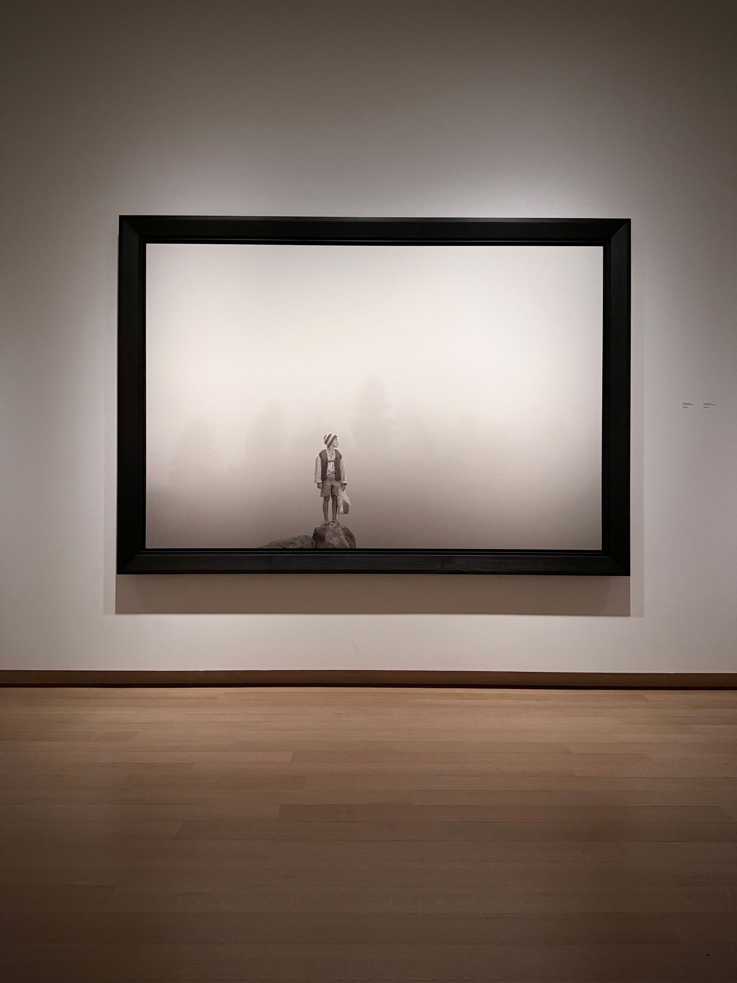 Beautiful imagery in art museum in amsterdam