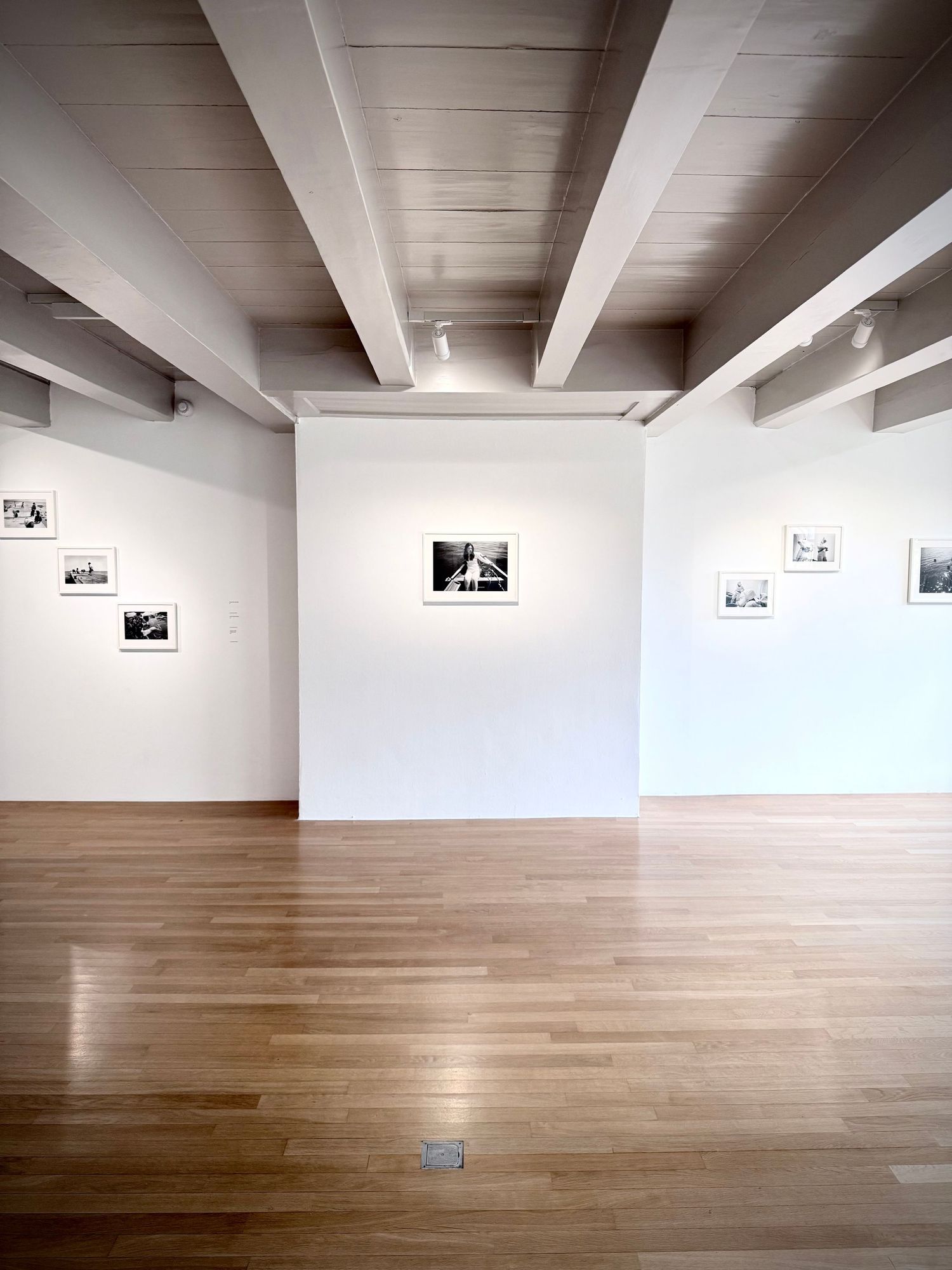 Gallery of displayed artwork photography, authentic brand visuals captured on iPhone