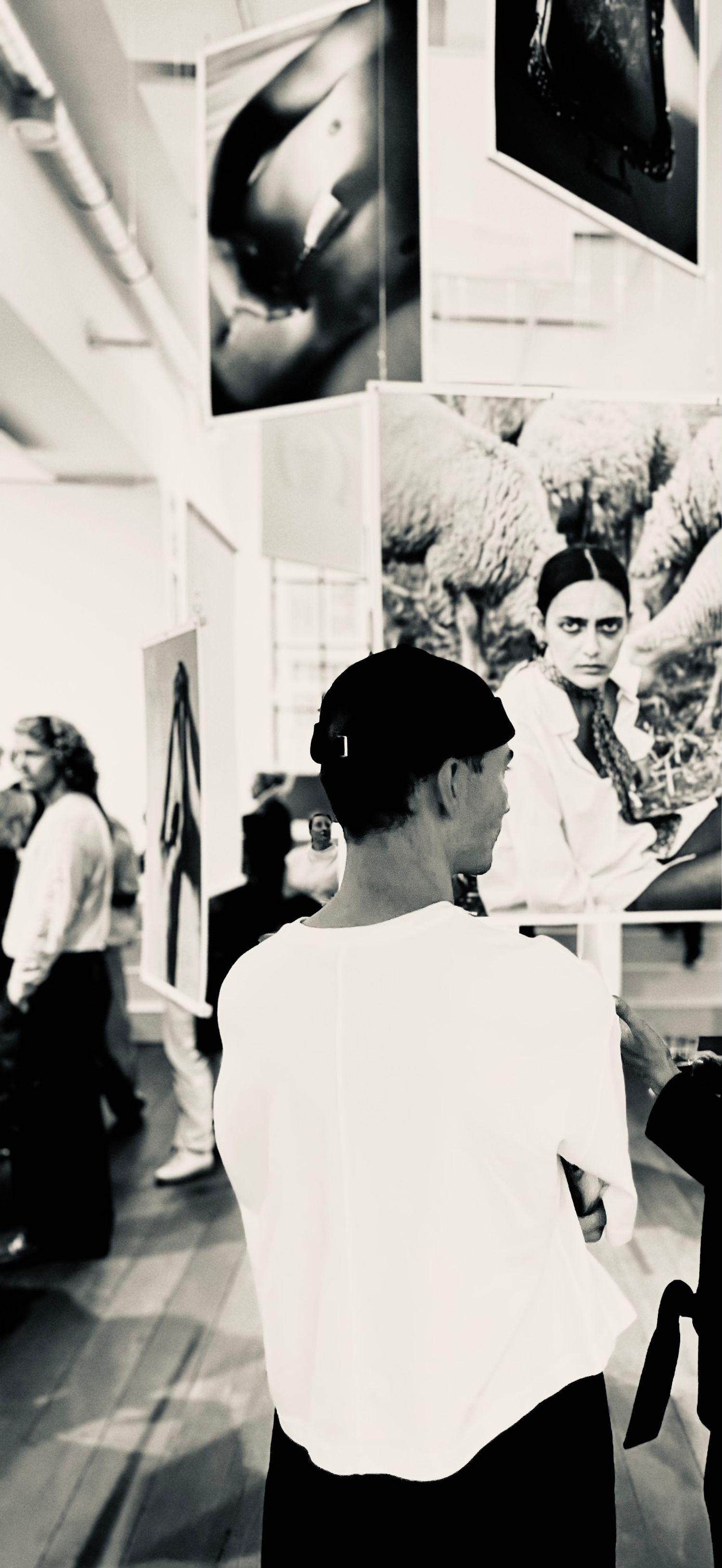 Guests enjoying art exhibition opening, professional photography capturing authentic moments