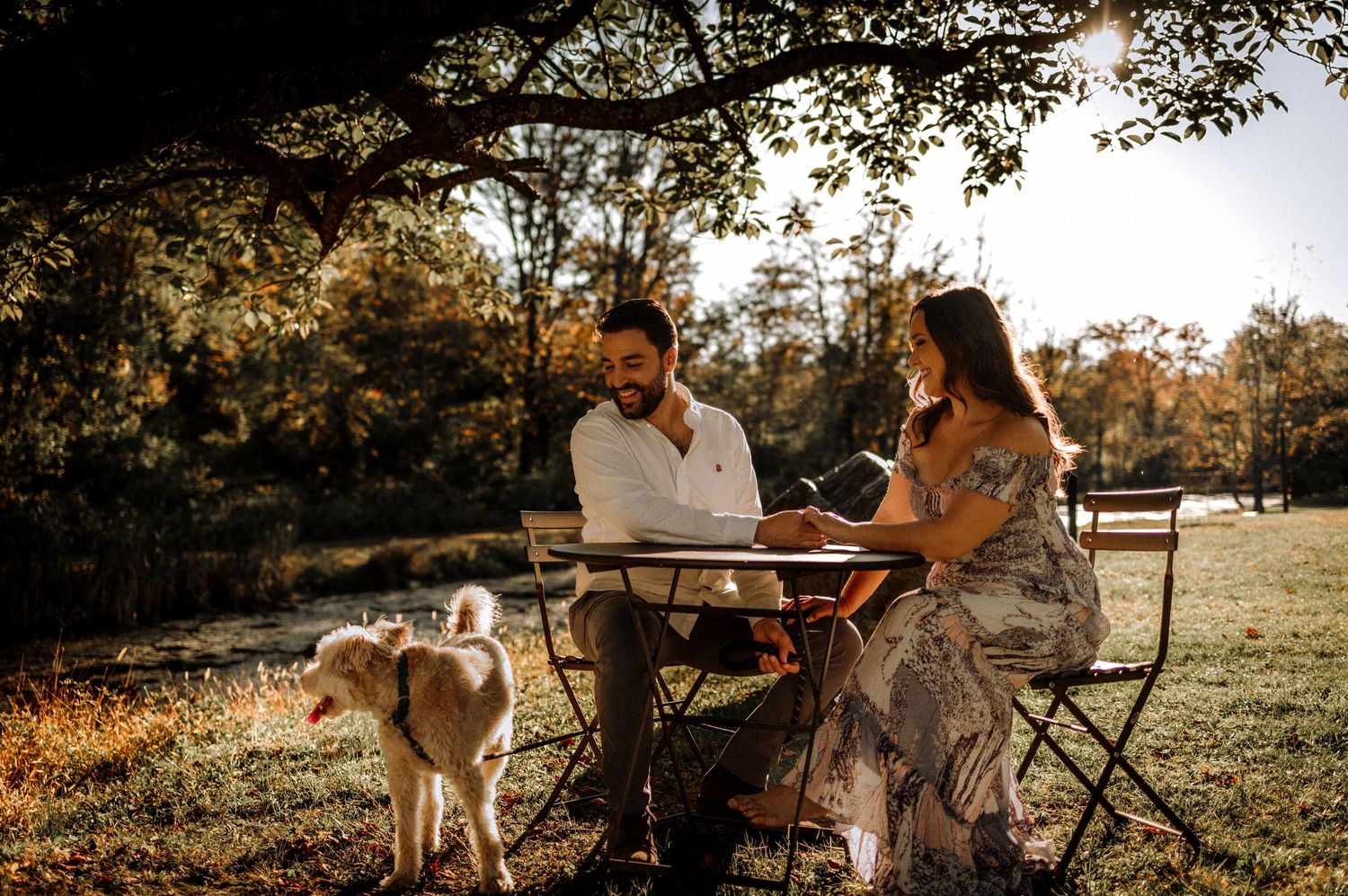 Two people share an intimate moment on camping chairs in a sun-drenched autumn field with a dog nearby.